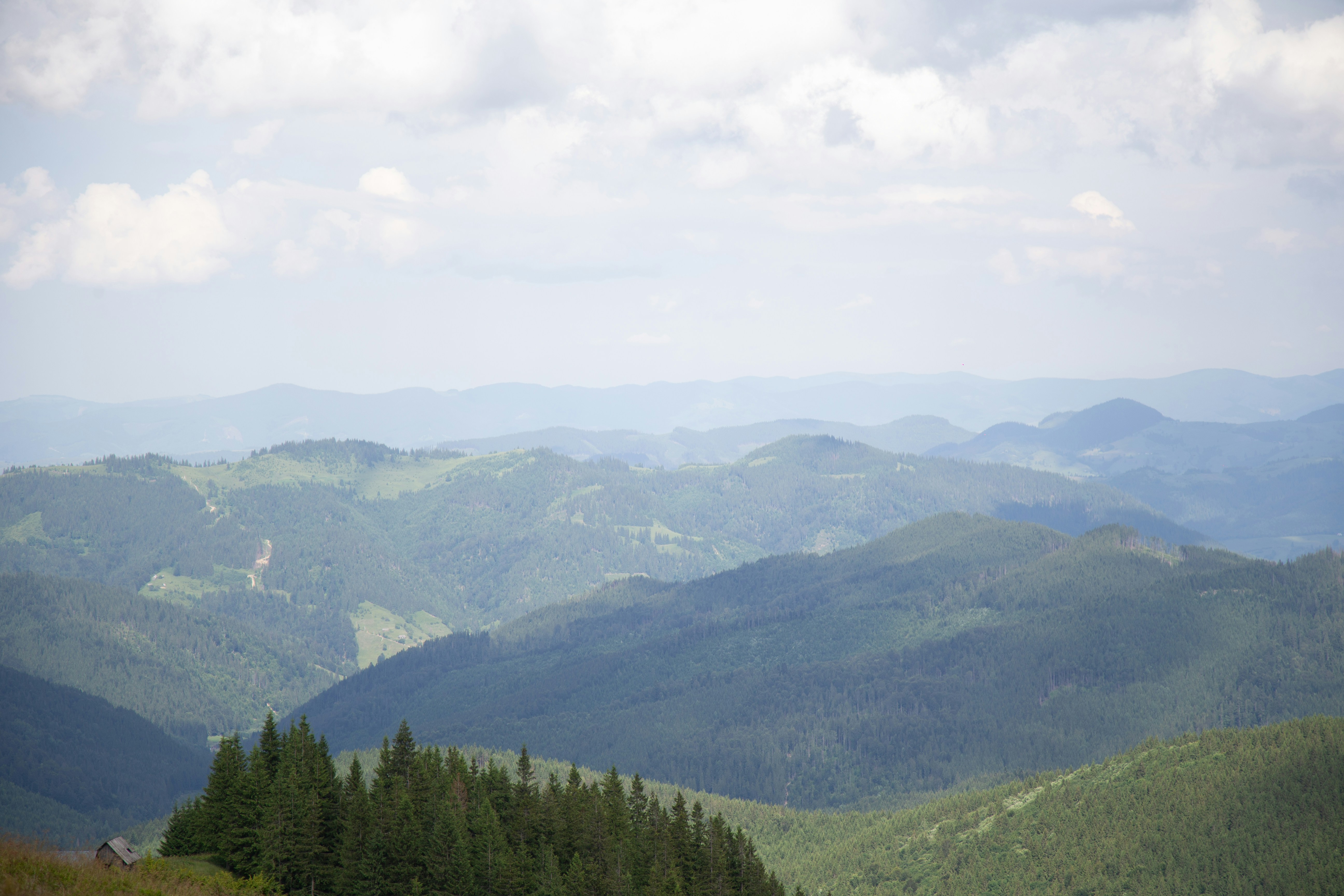 Photo by cameraobscura2000