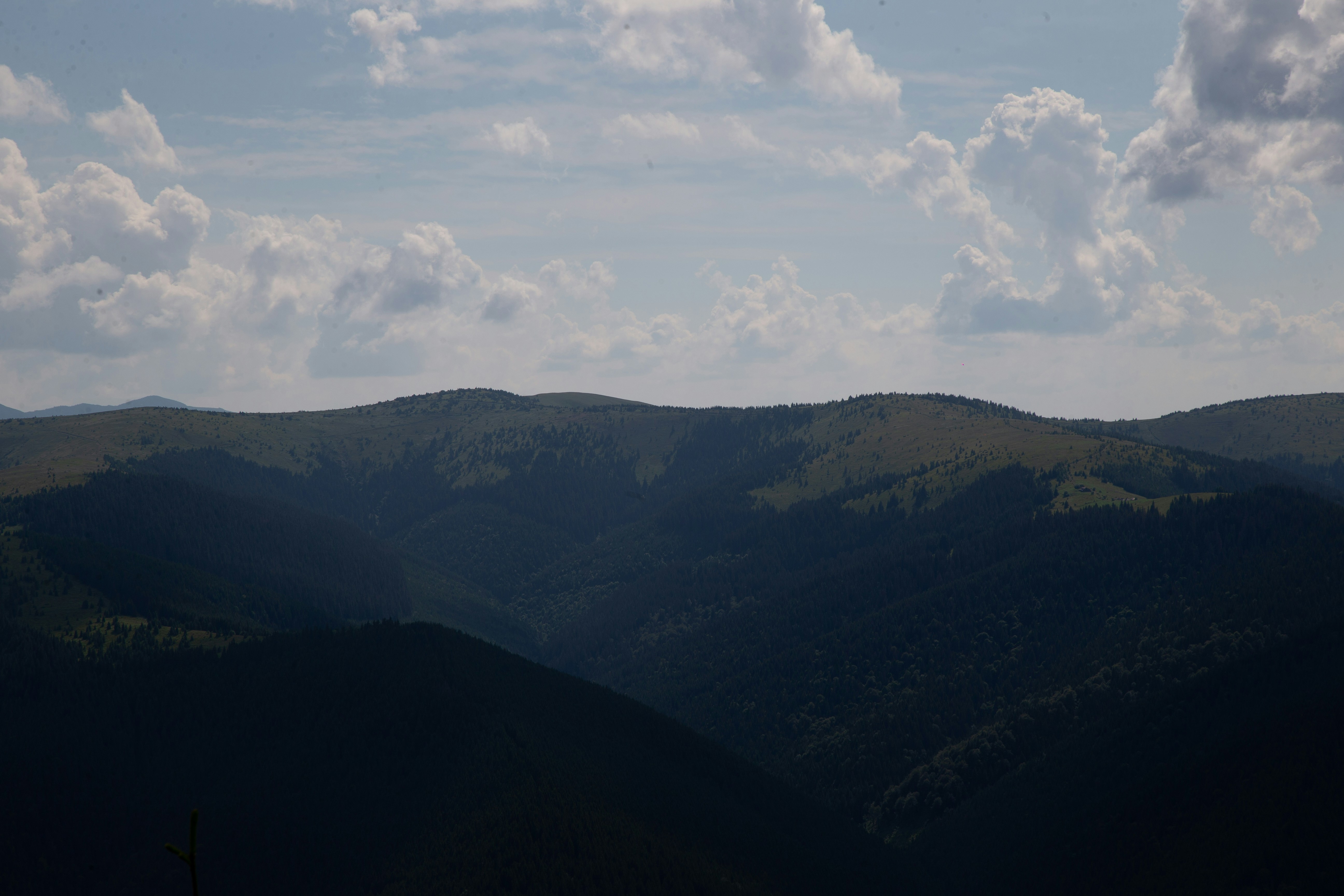 Photo by cameraobscura2000