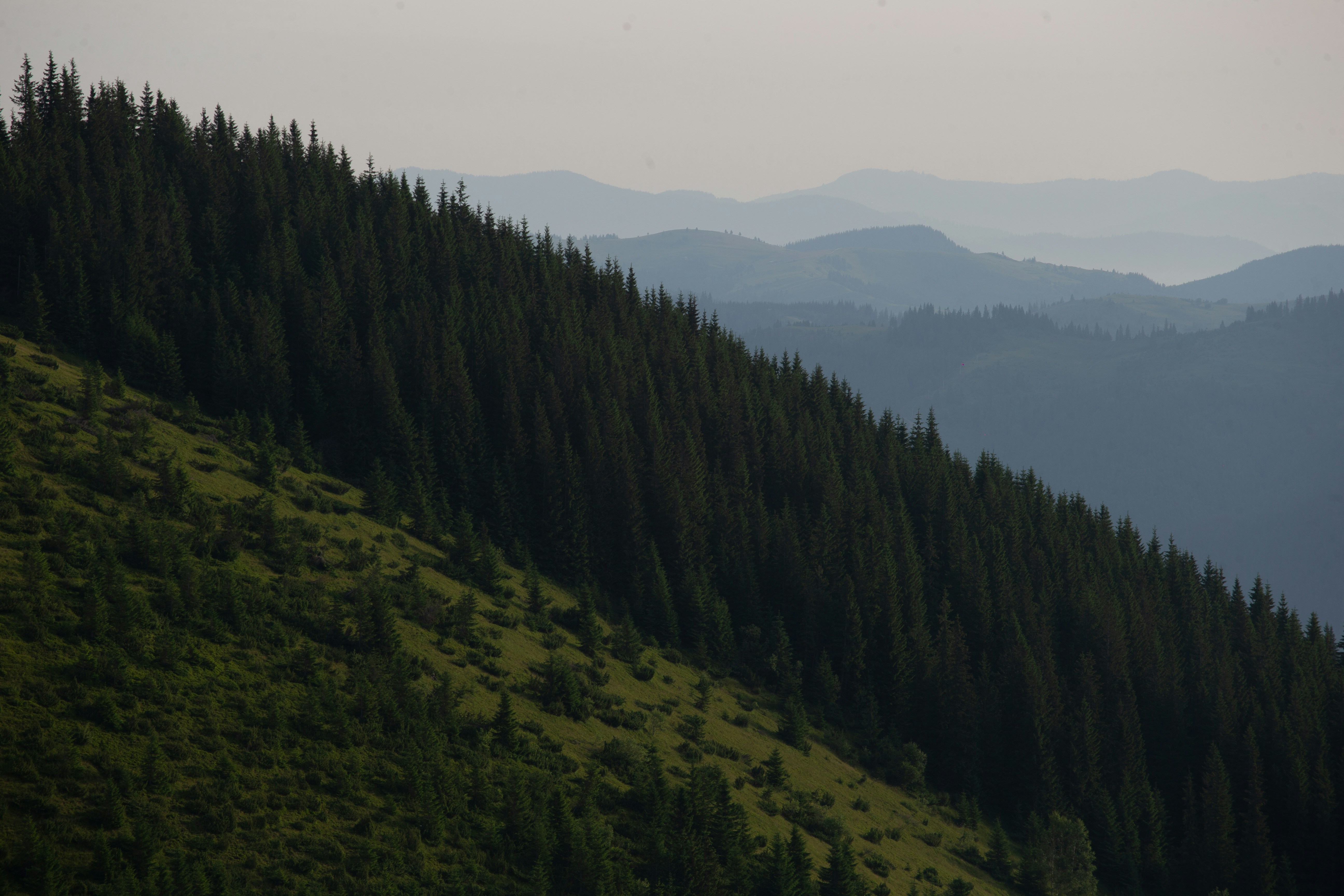 Photo by cameraobscura2000