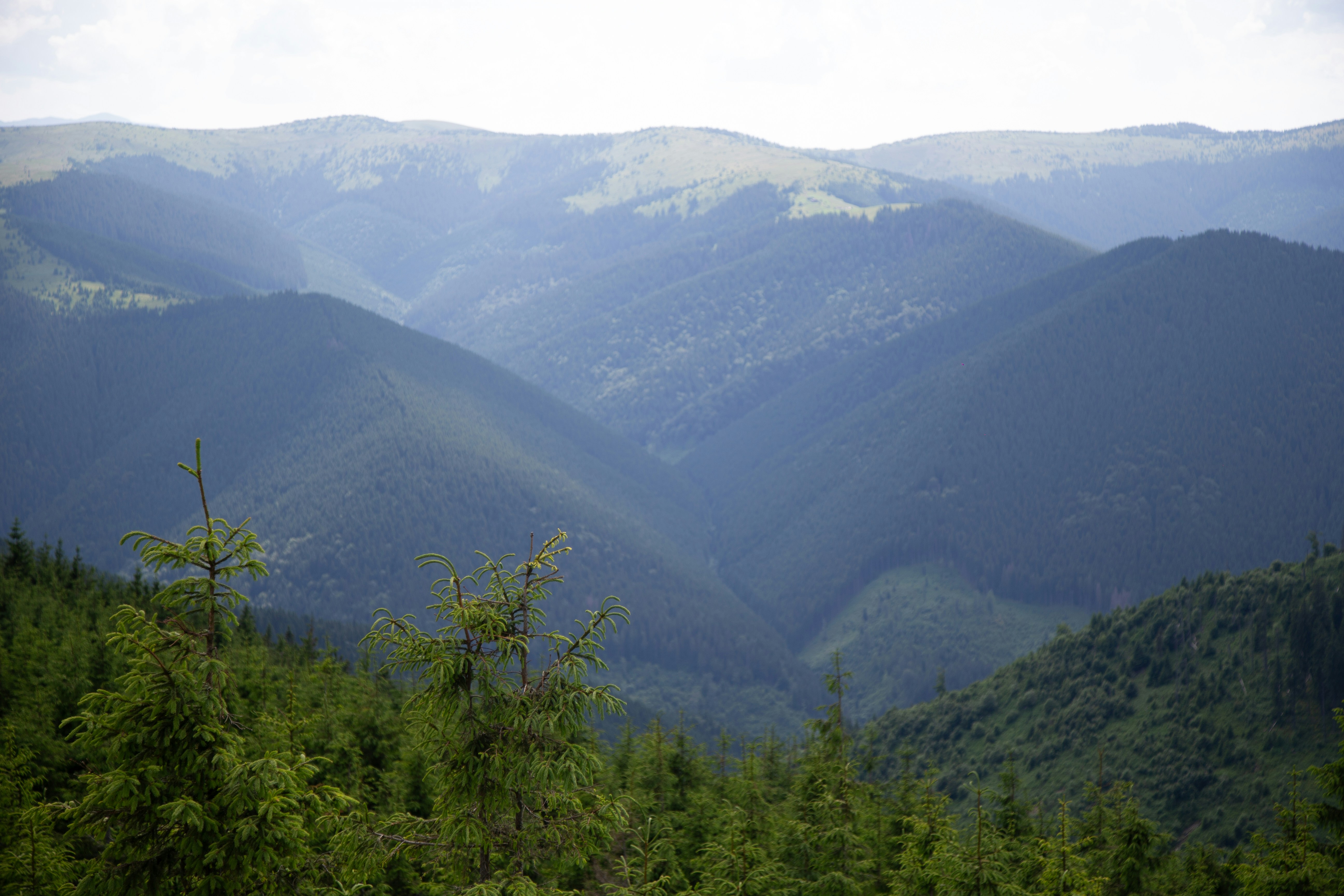 Photo by cameraobscura2000