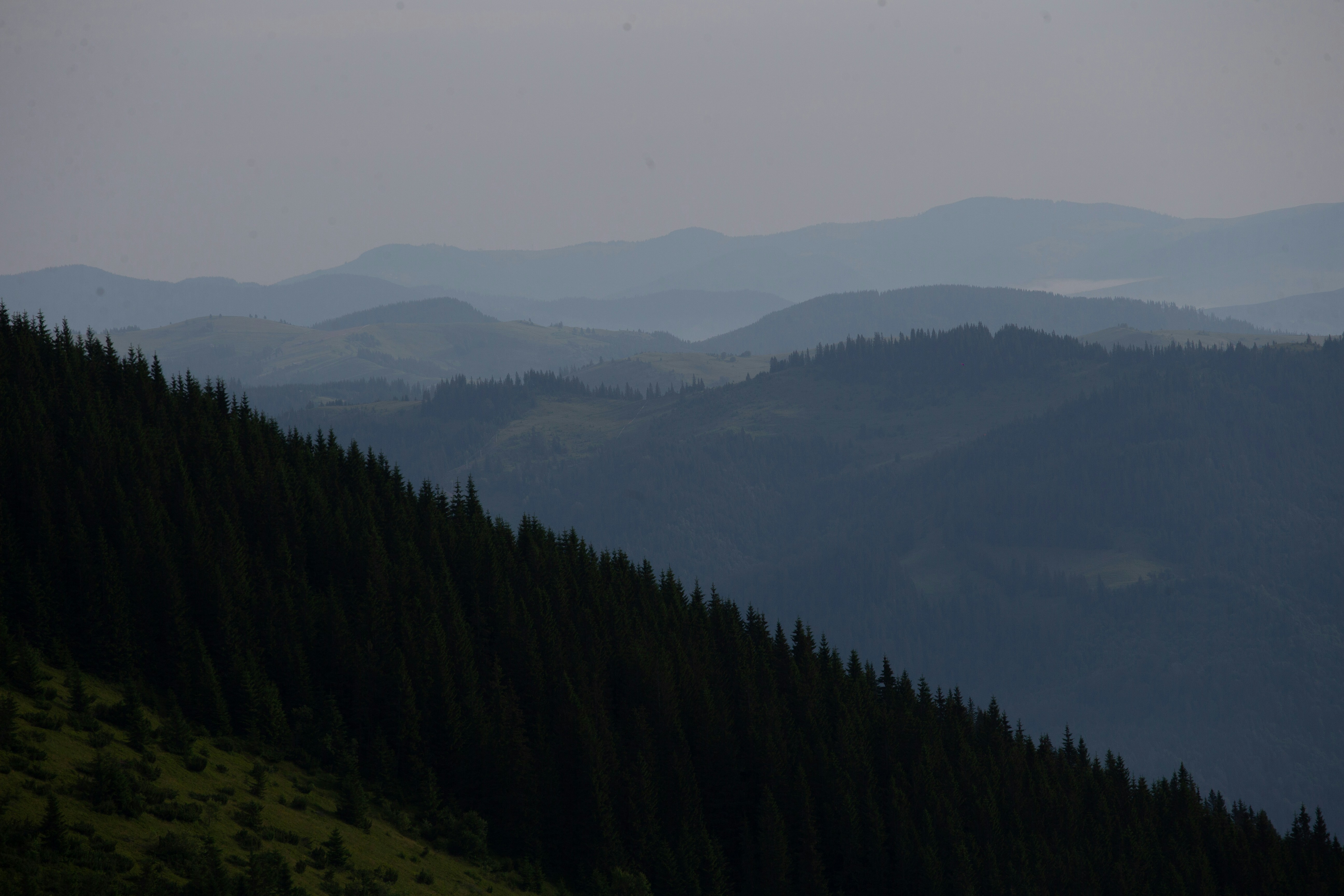 Photo by cameraobscura2000