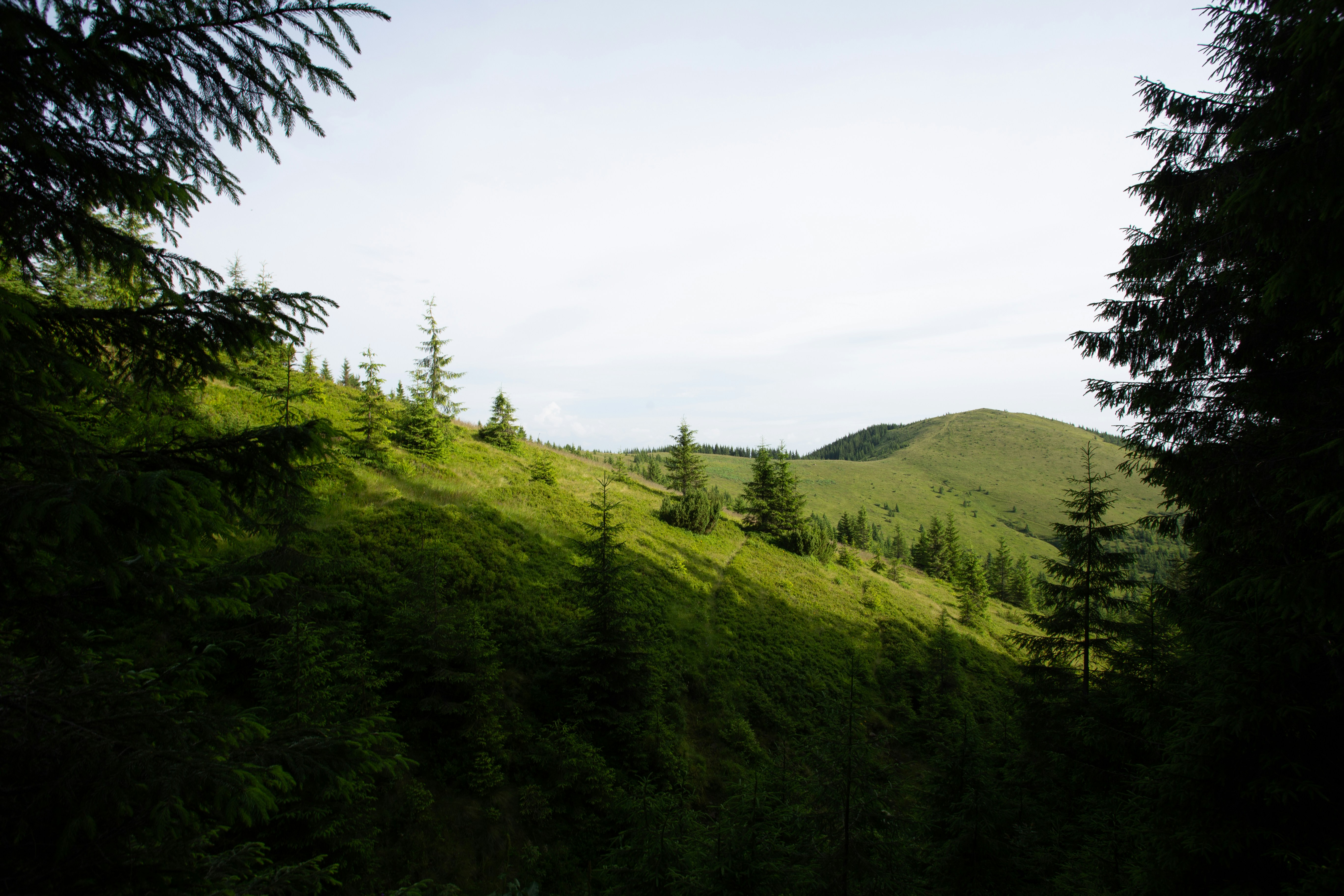 Photo by cameraobscura2000