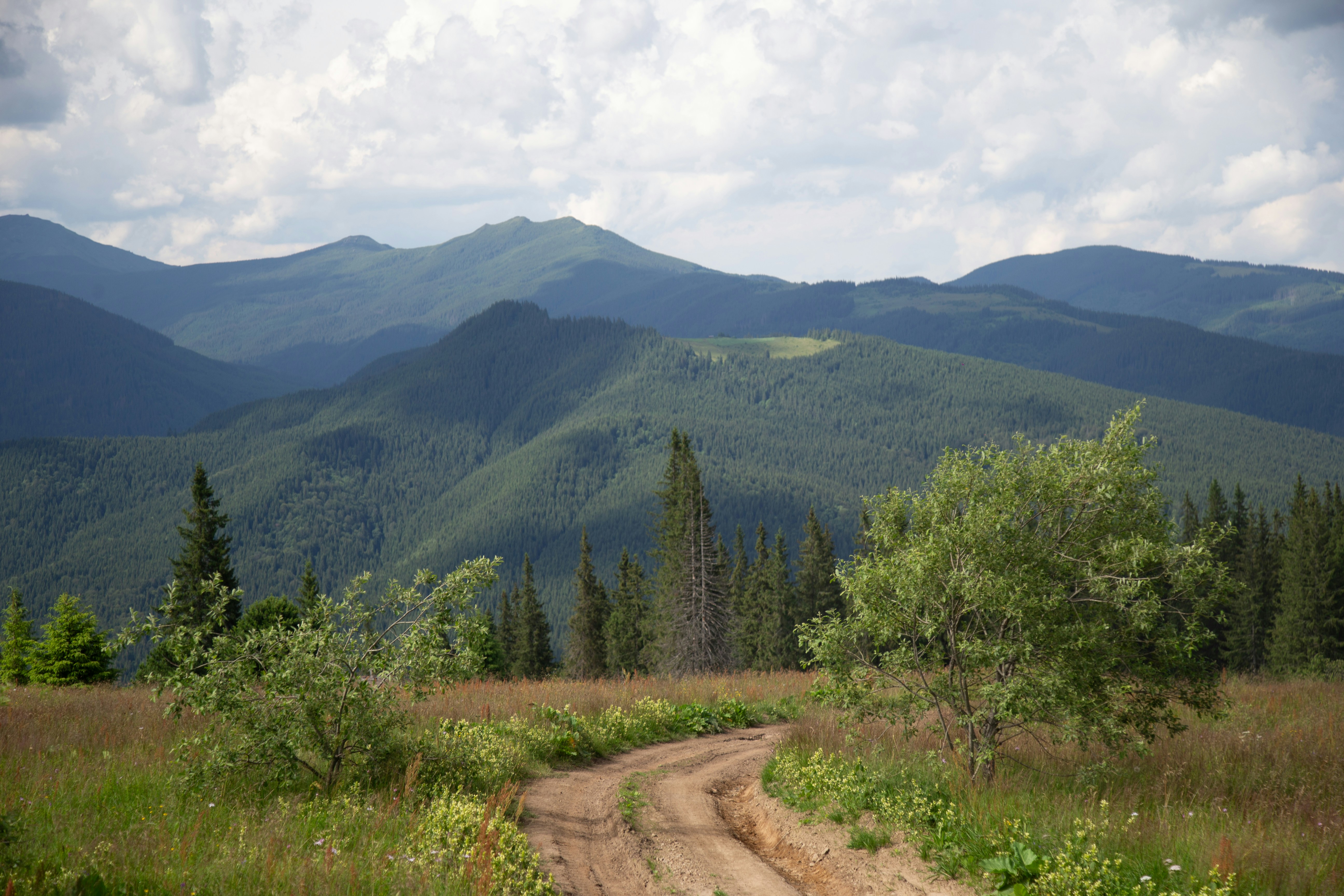 A dirt road in the middle of a mountain range