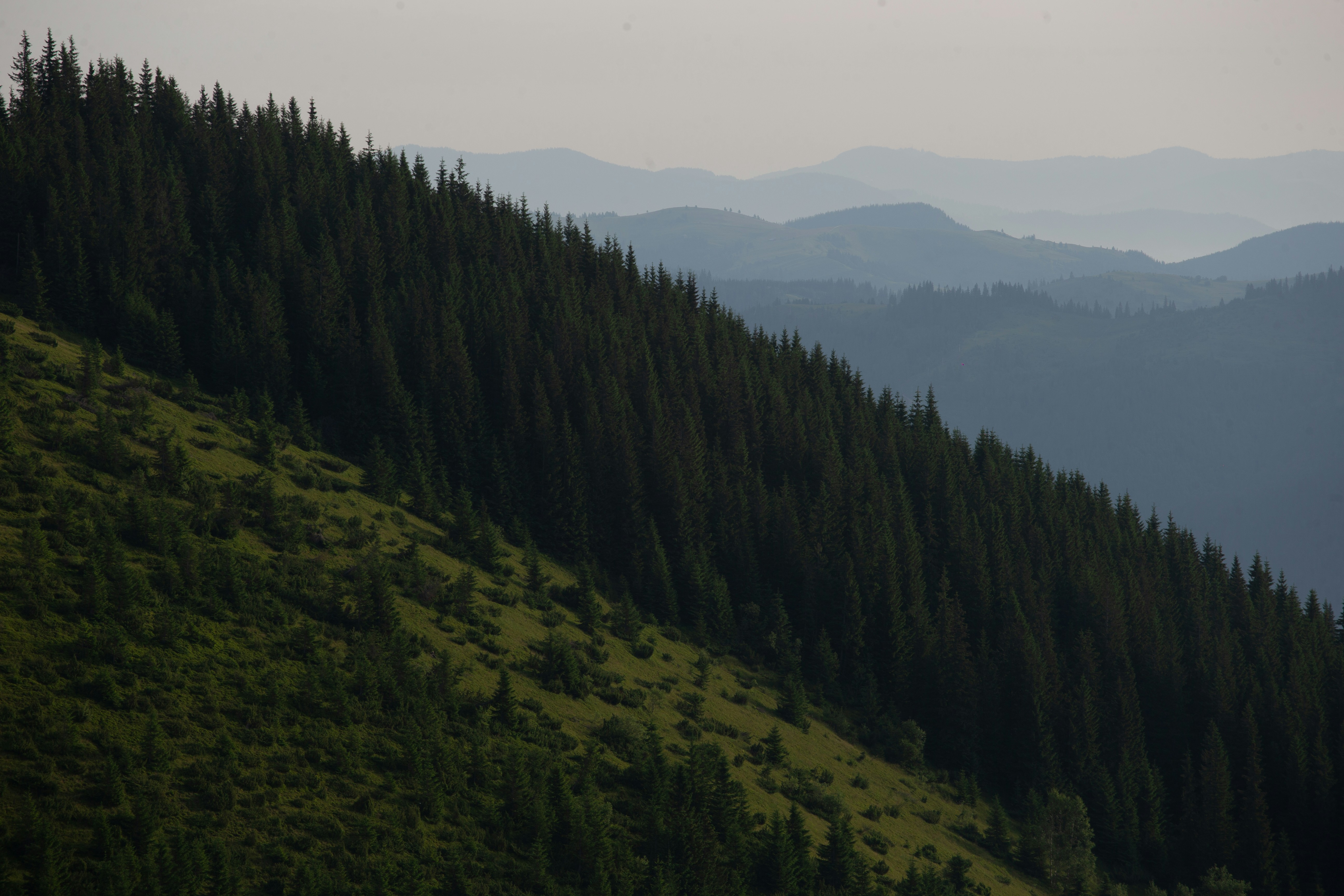 Photo by cameraobscura2000