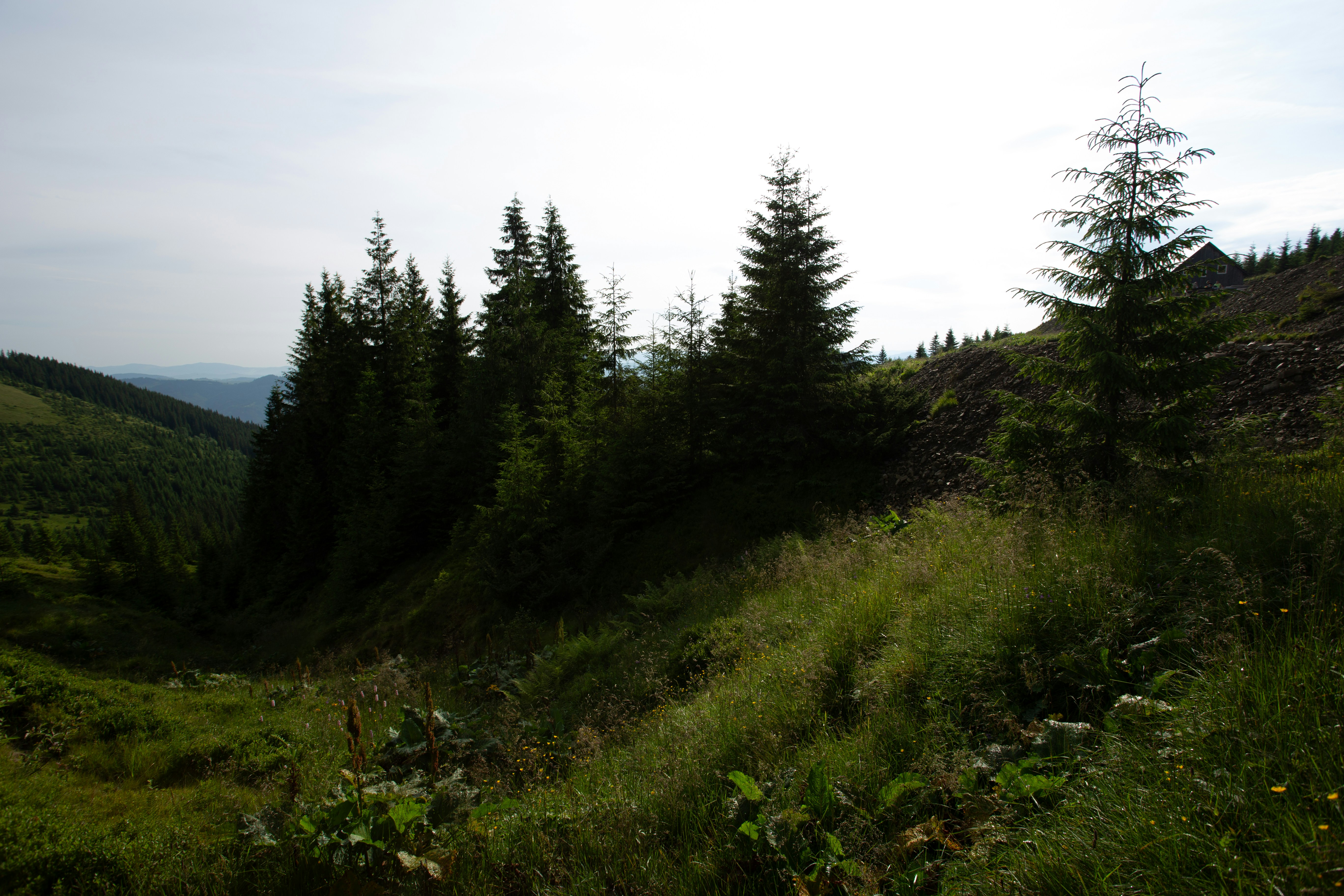 Photo by cameraobscura2000