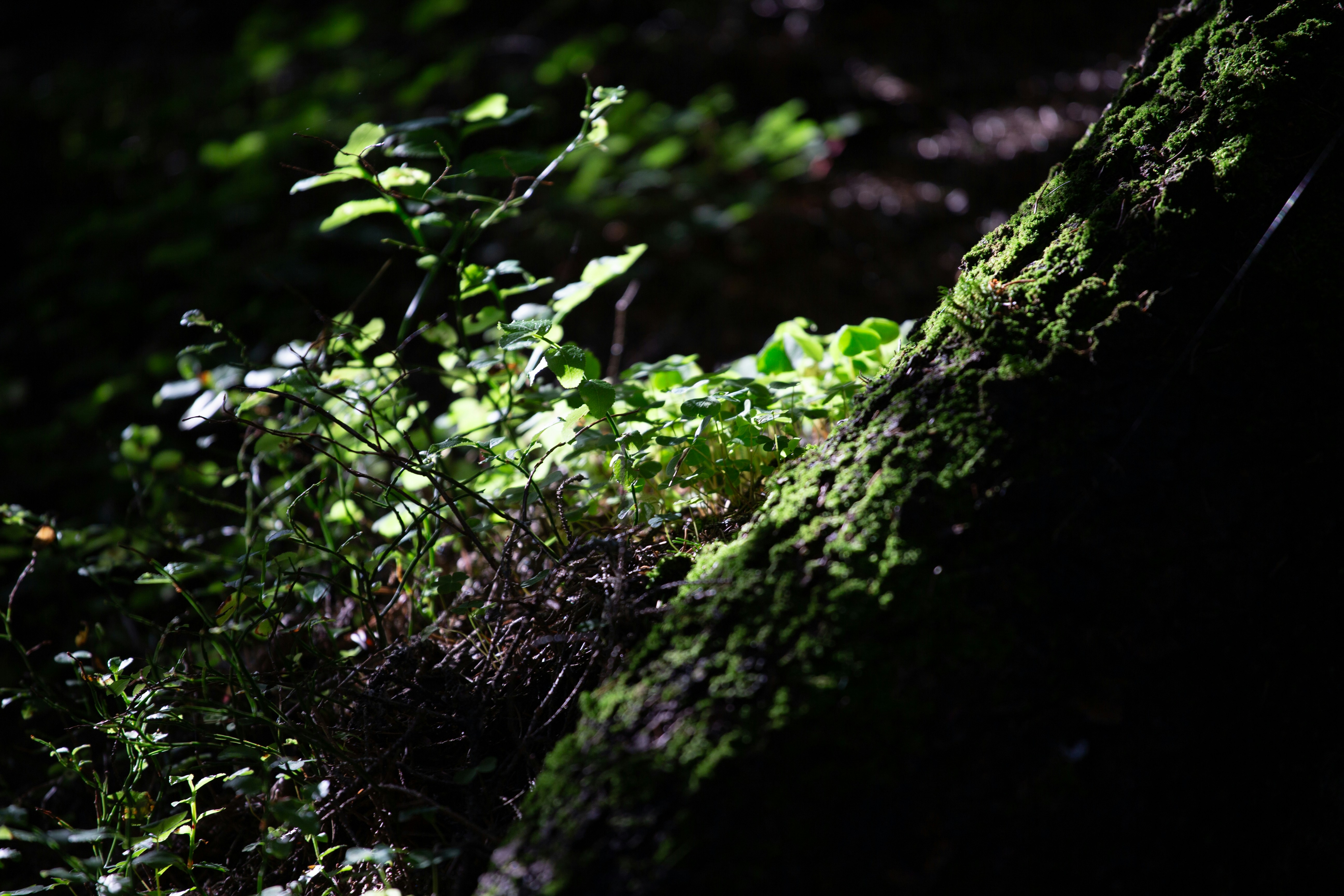 Photo by cameraobscura2000