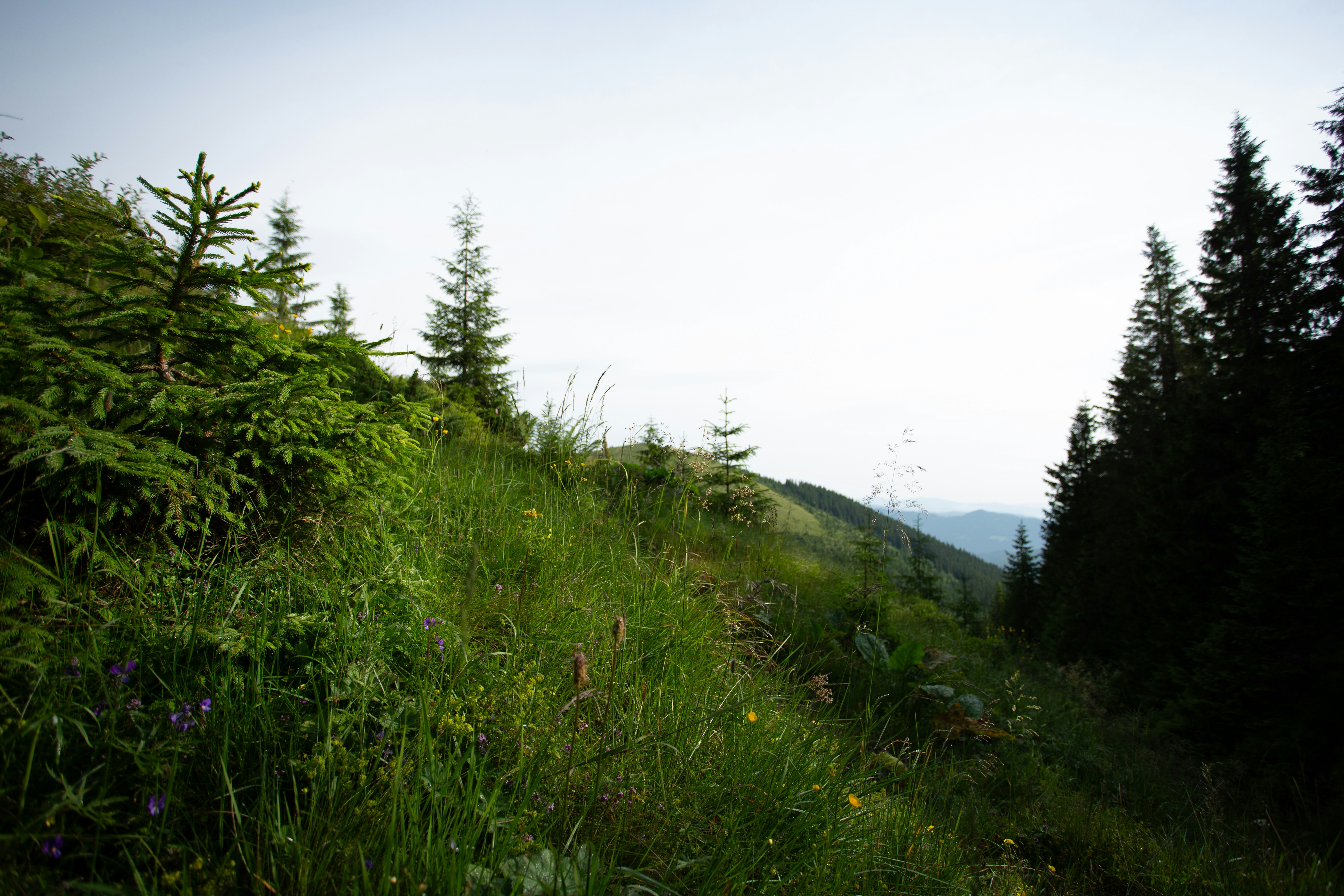 Photo by cameraobscura2000