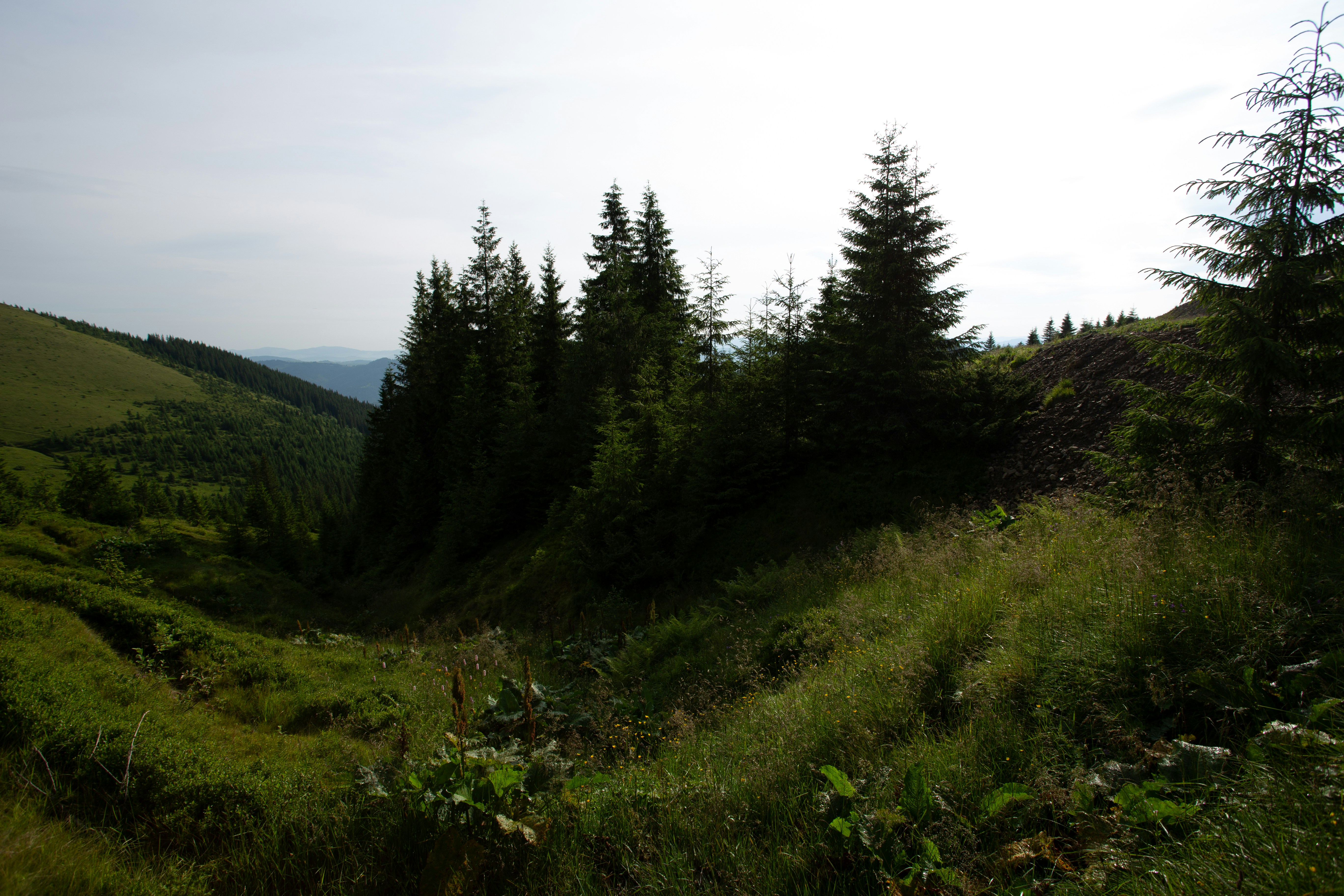 Photo by cameraobscura2000