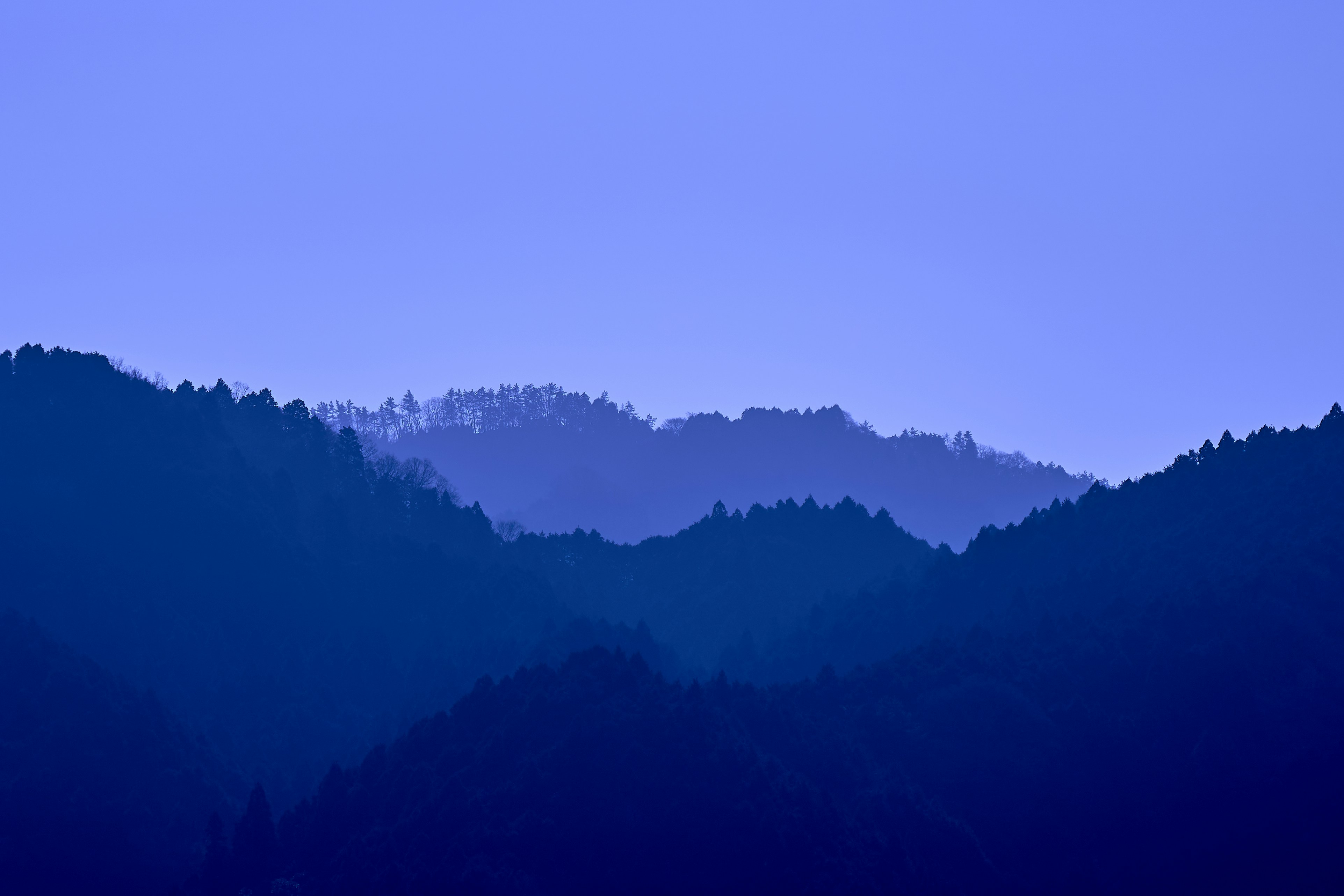 Photo by stbuddyp