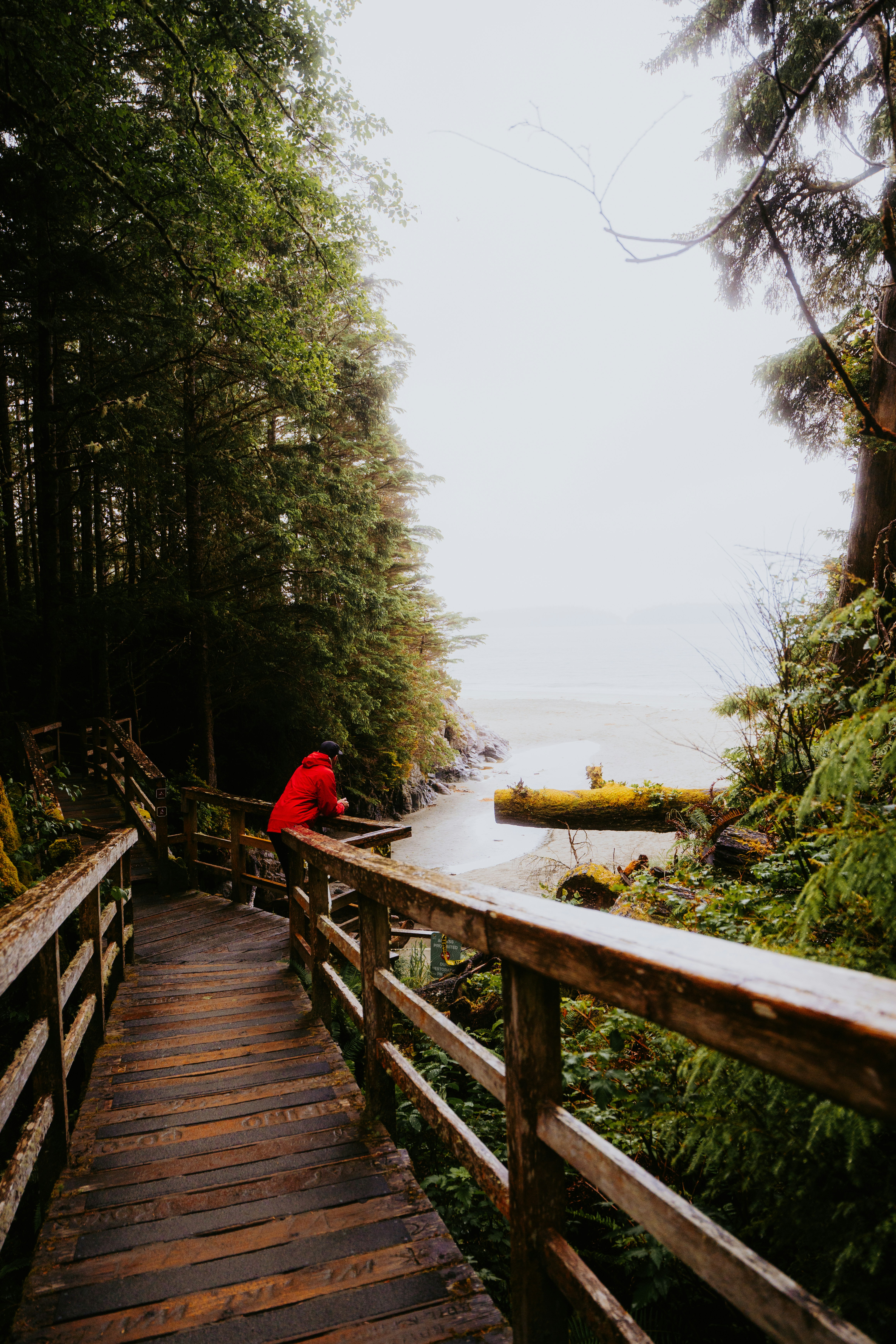 Photo by bylukemiller