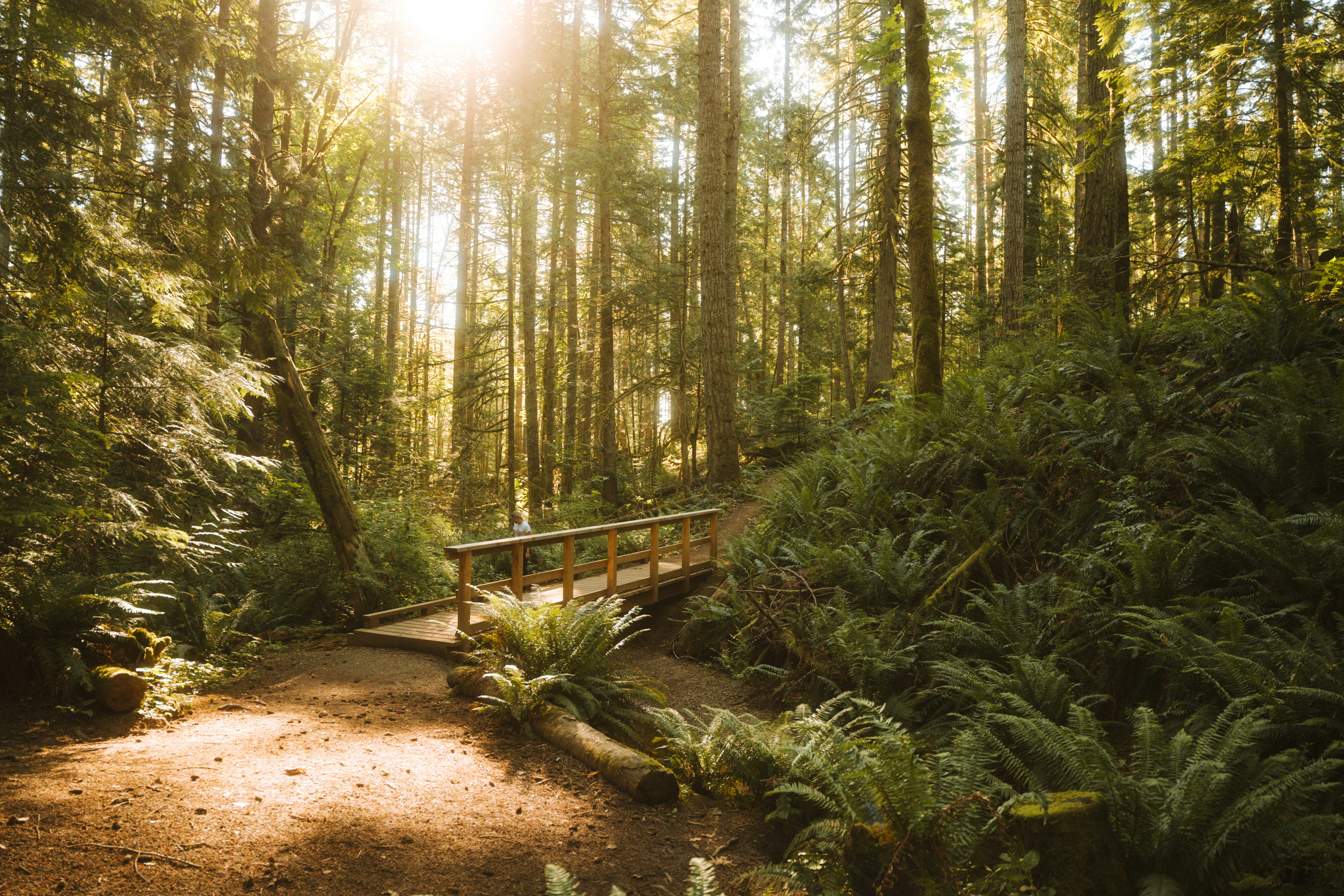 Photo by bylukemiller