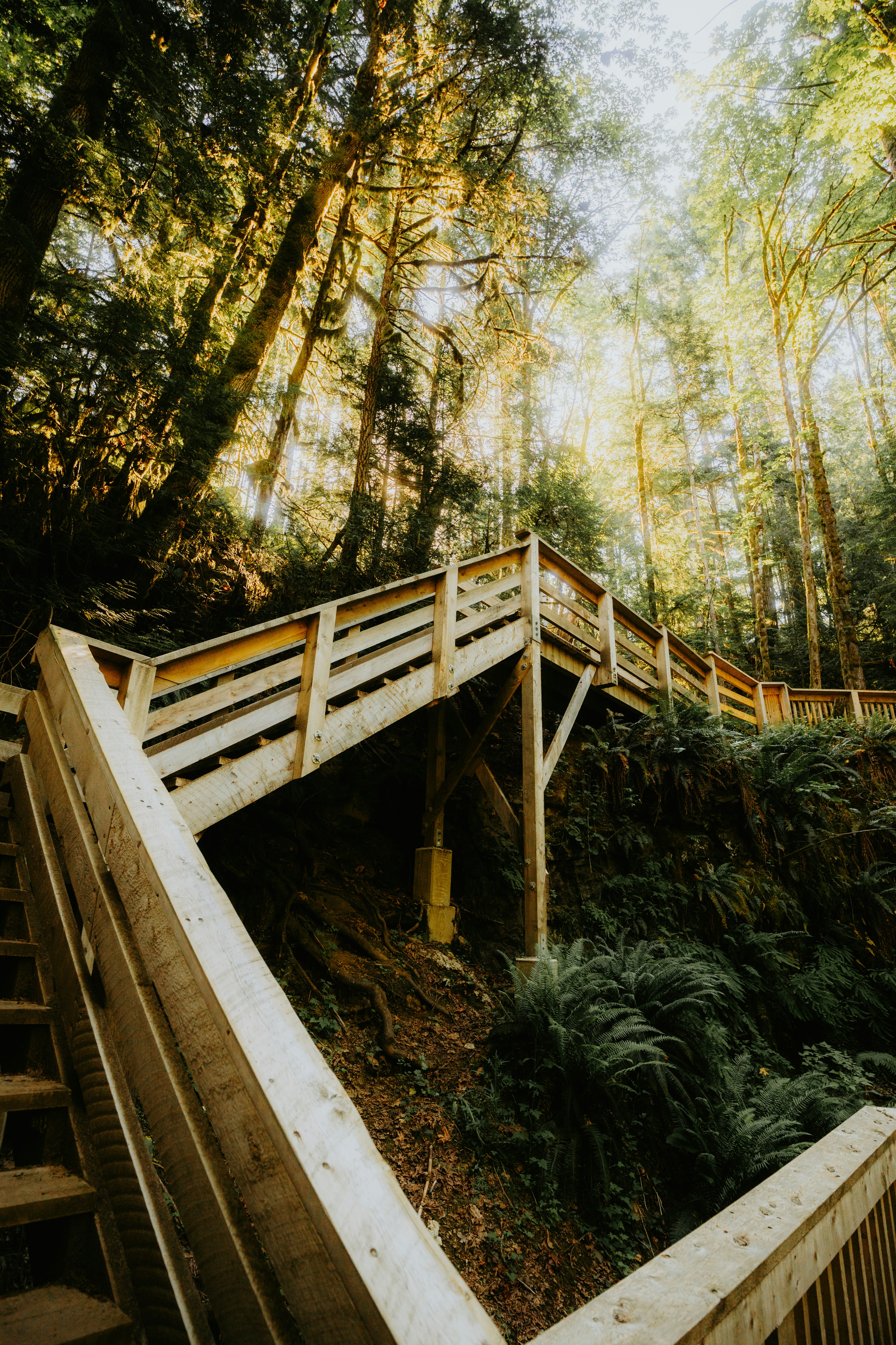 Photo by bylukemiller