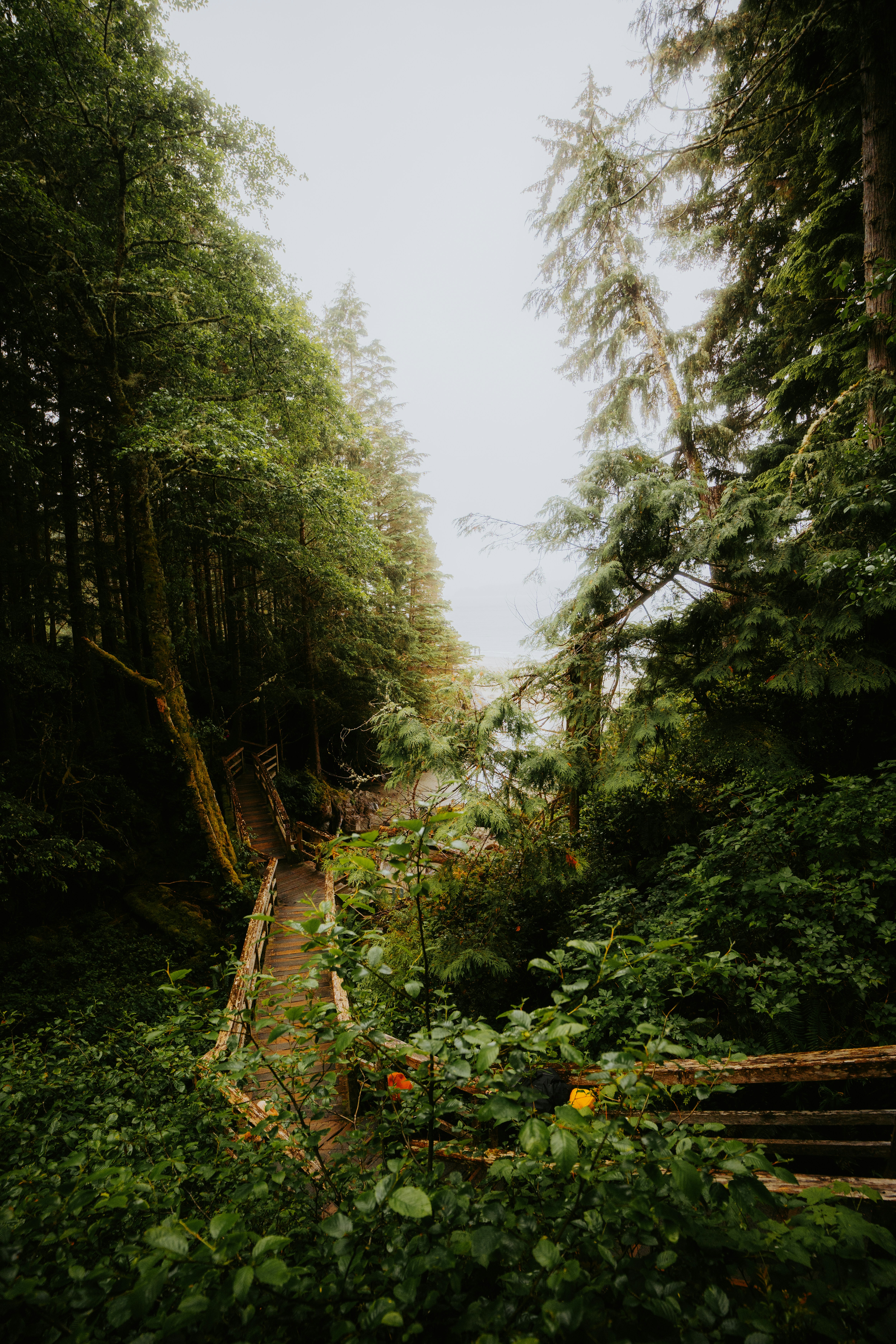 Photo by bylukemiller