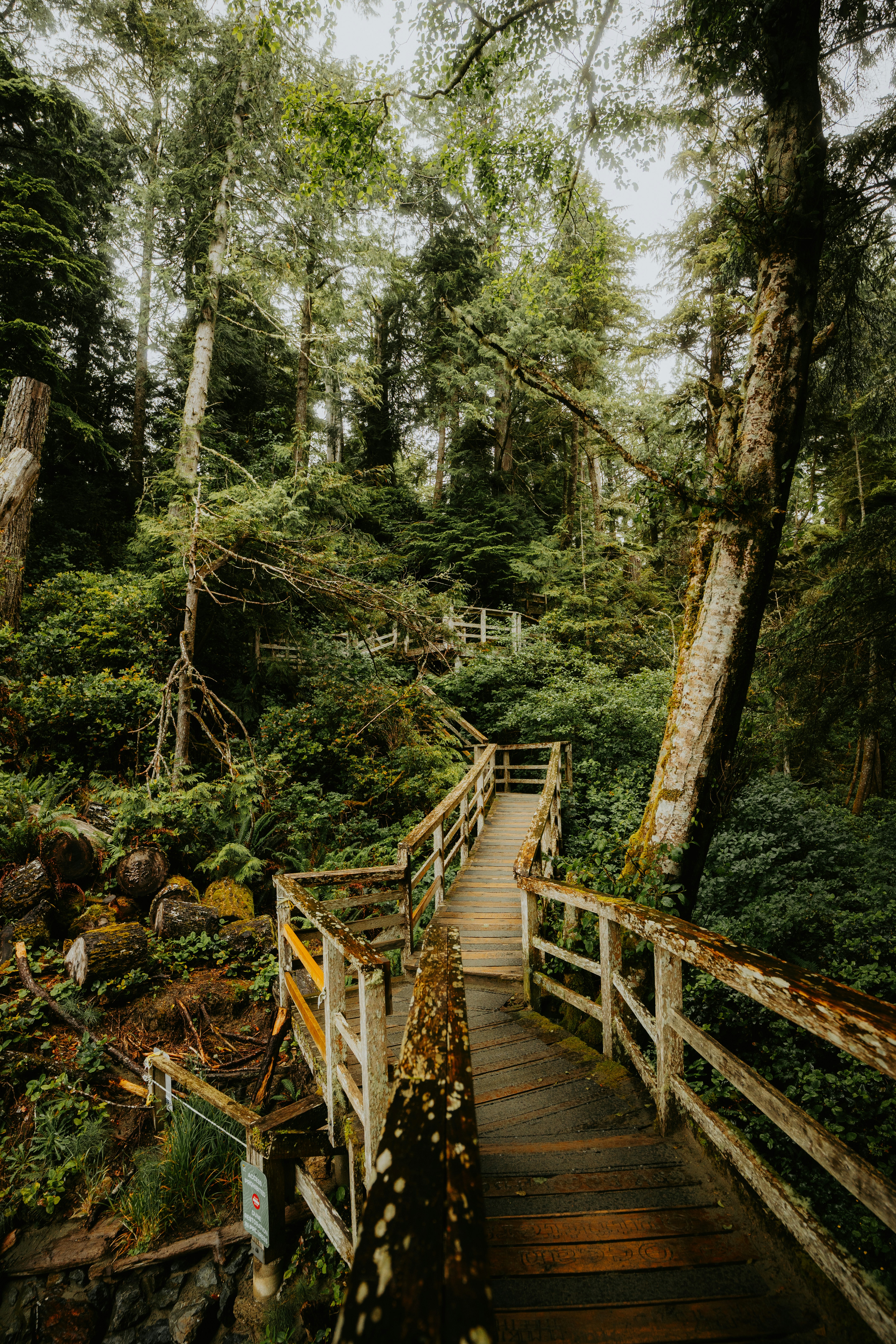 Photo by bylukemiller