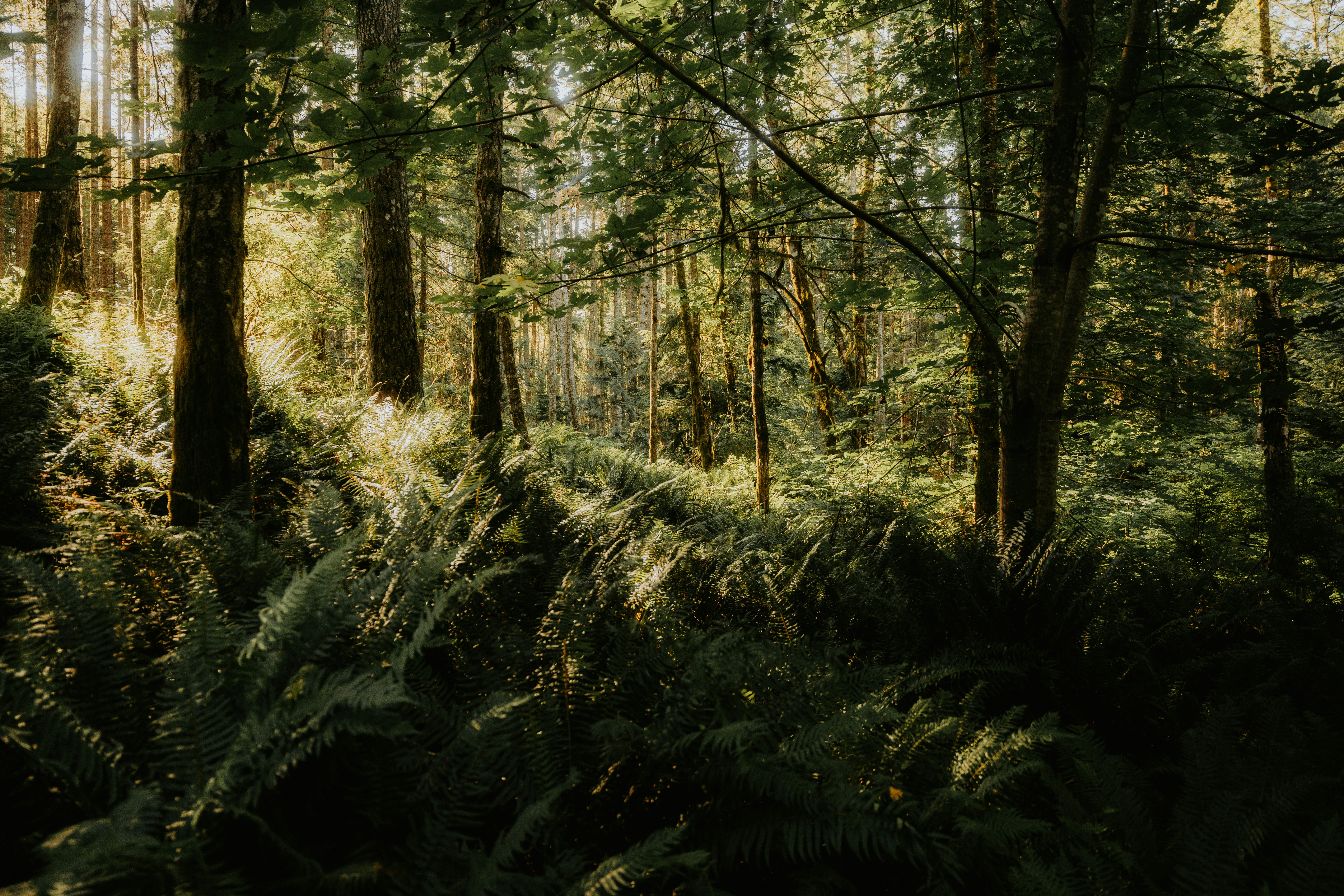 Photo by bylukemiller