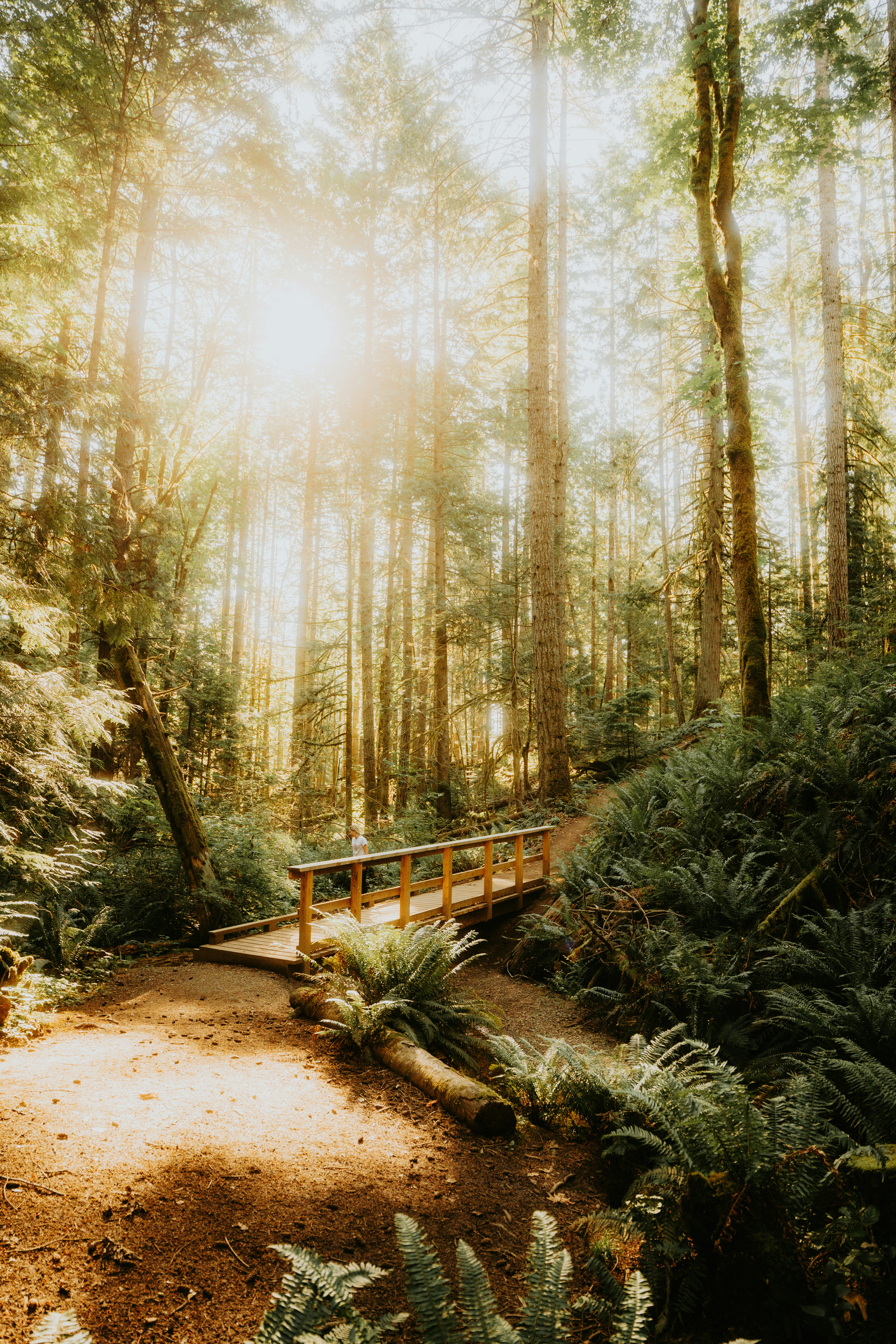 Photo by bylukemiller