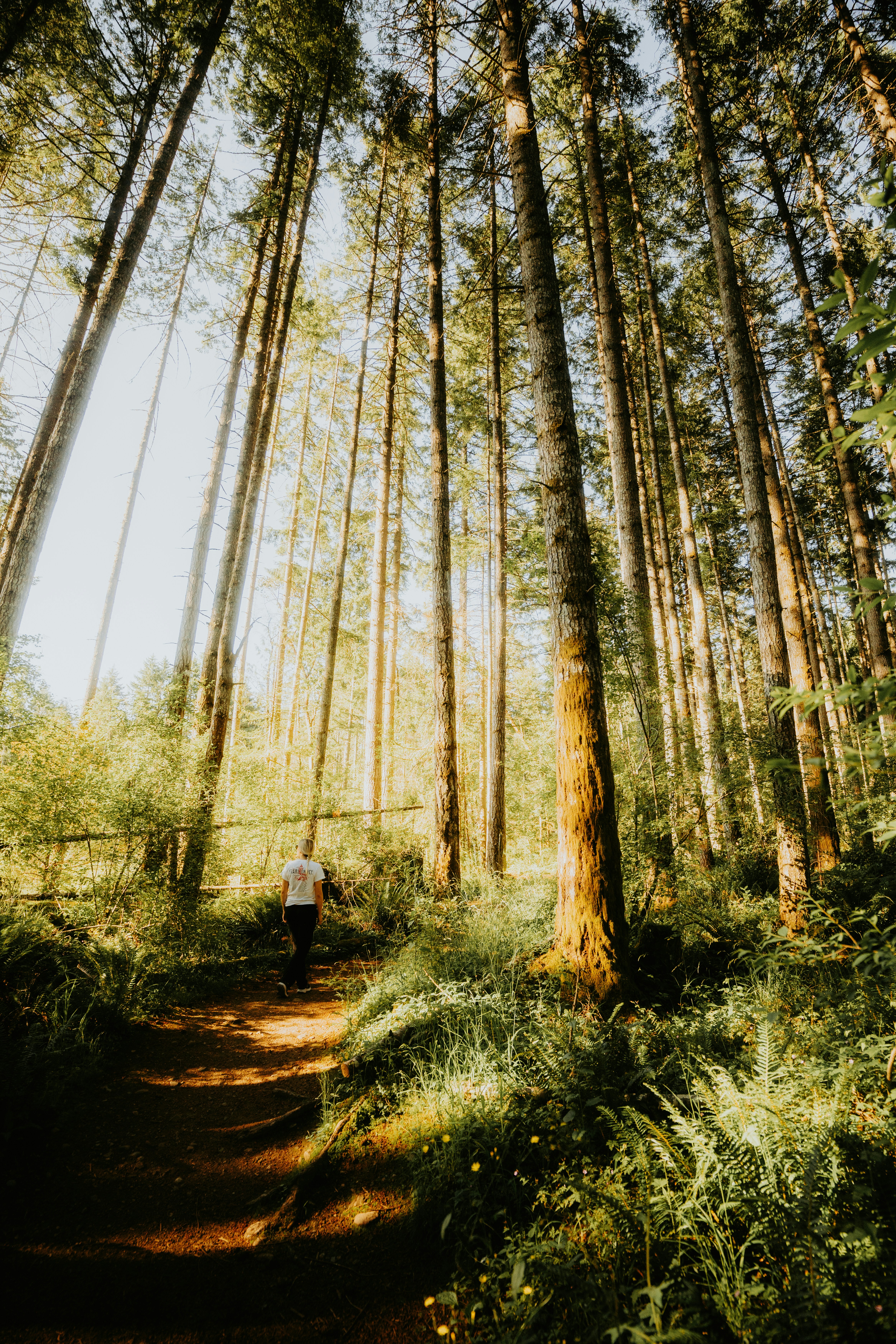 Photo by bylukemiller