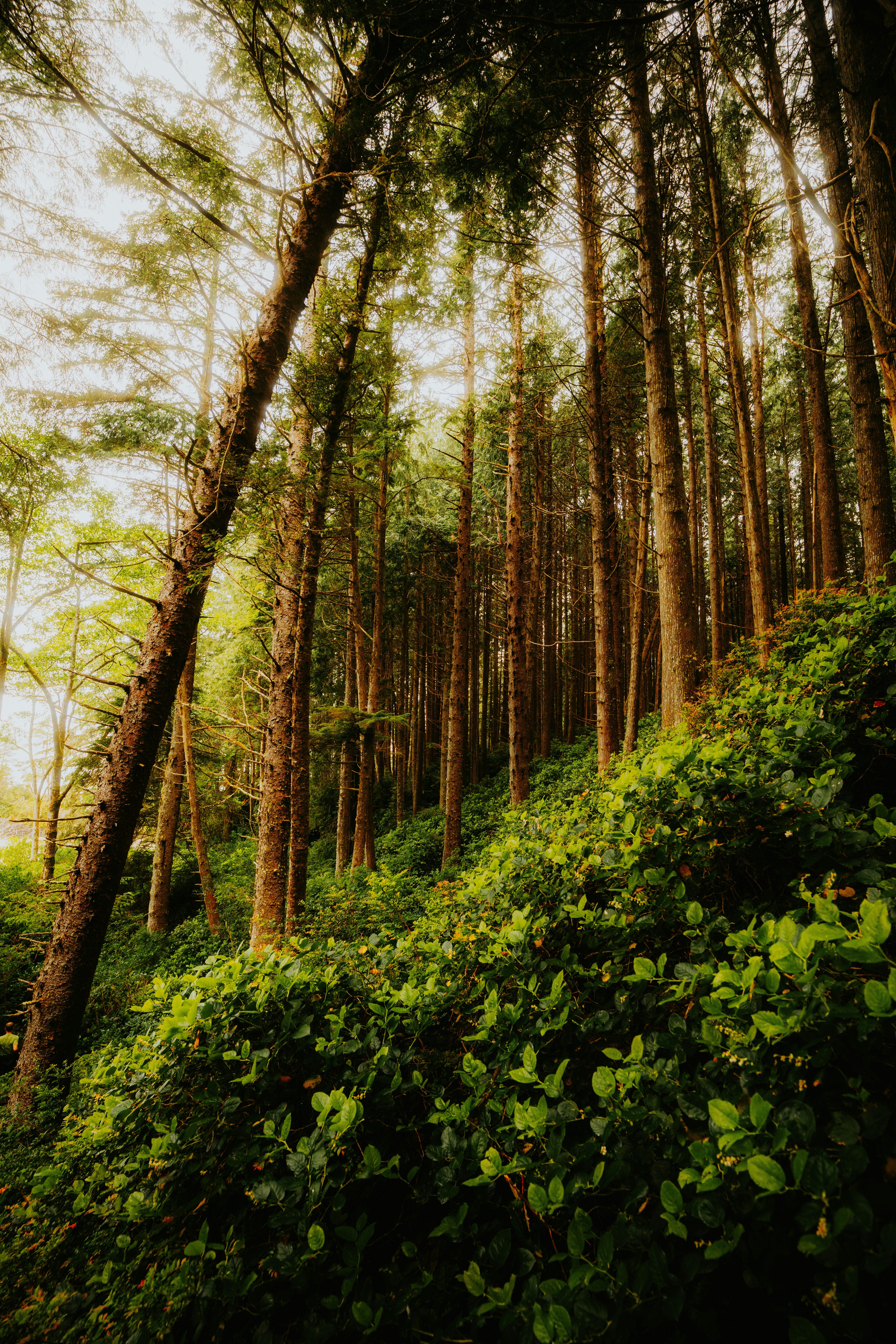 Photo by bylukemiller