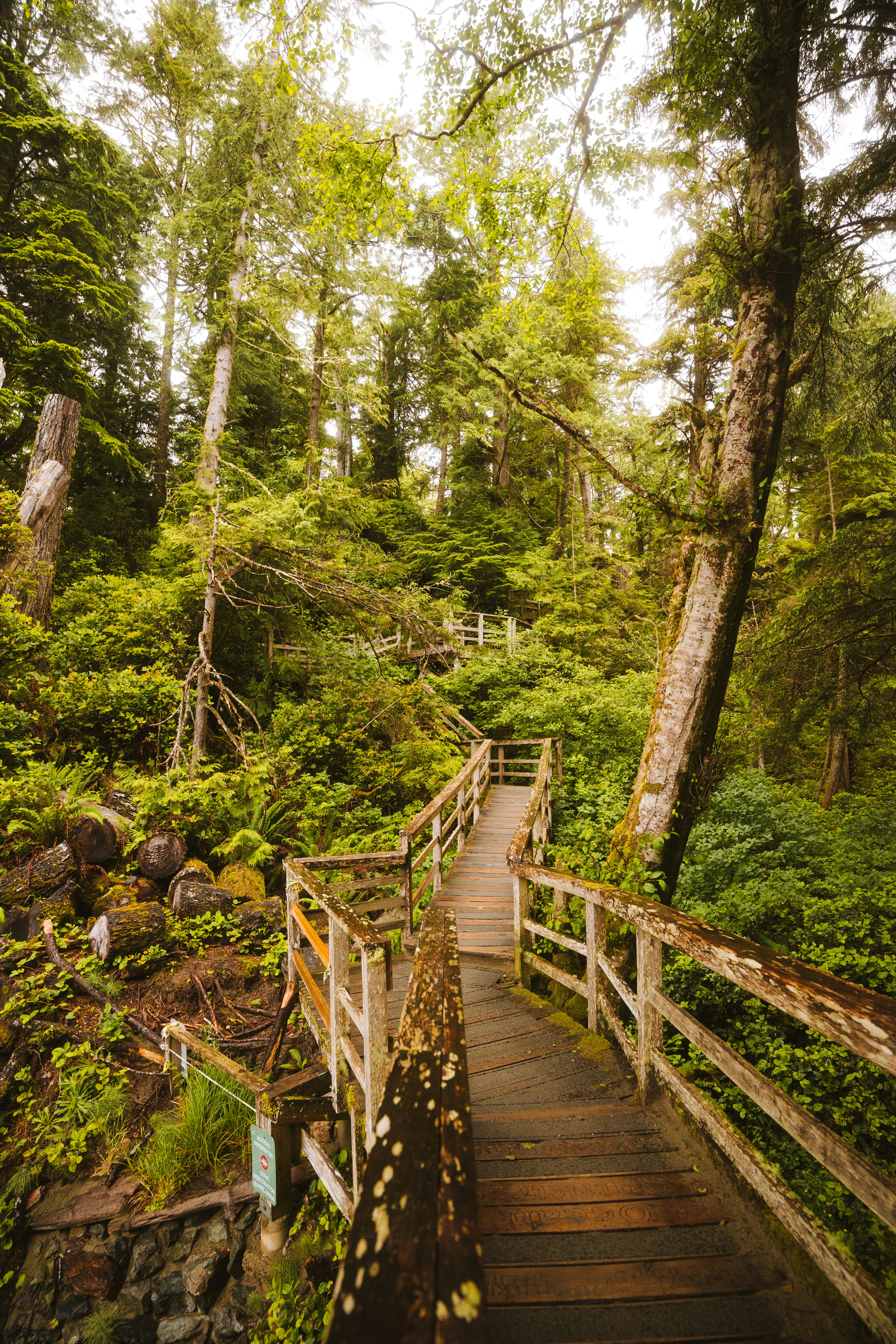 Photo by bylukemiller