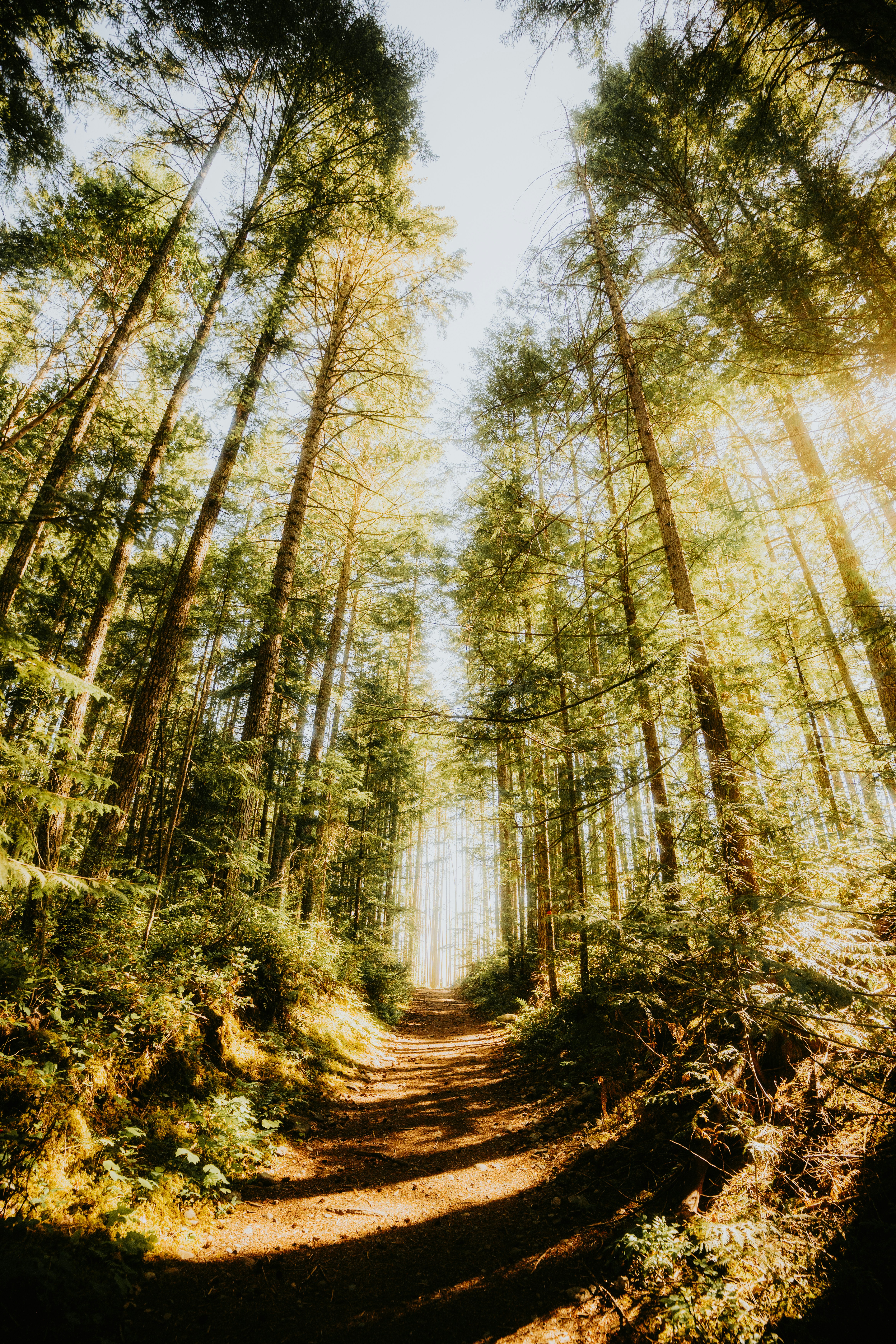 Photo by bylukemiller