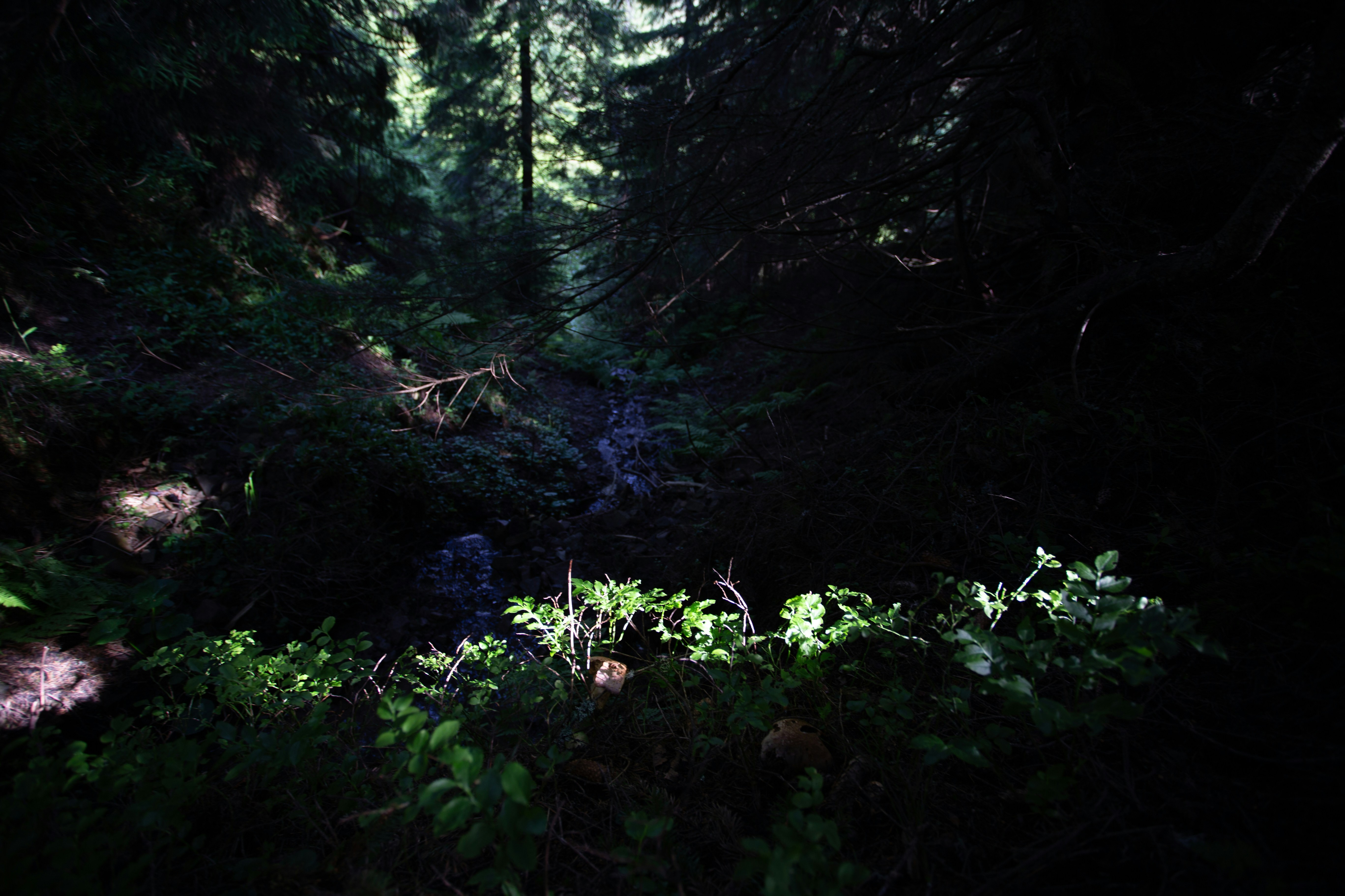 Photo by cameraobscura2000