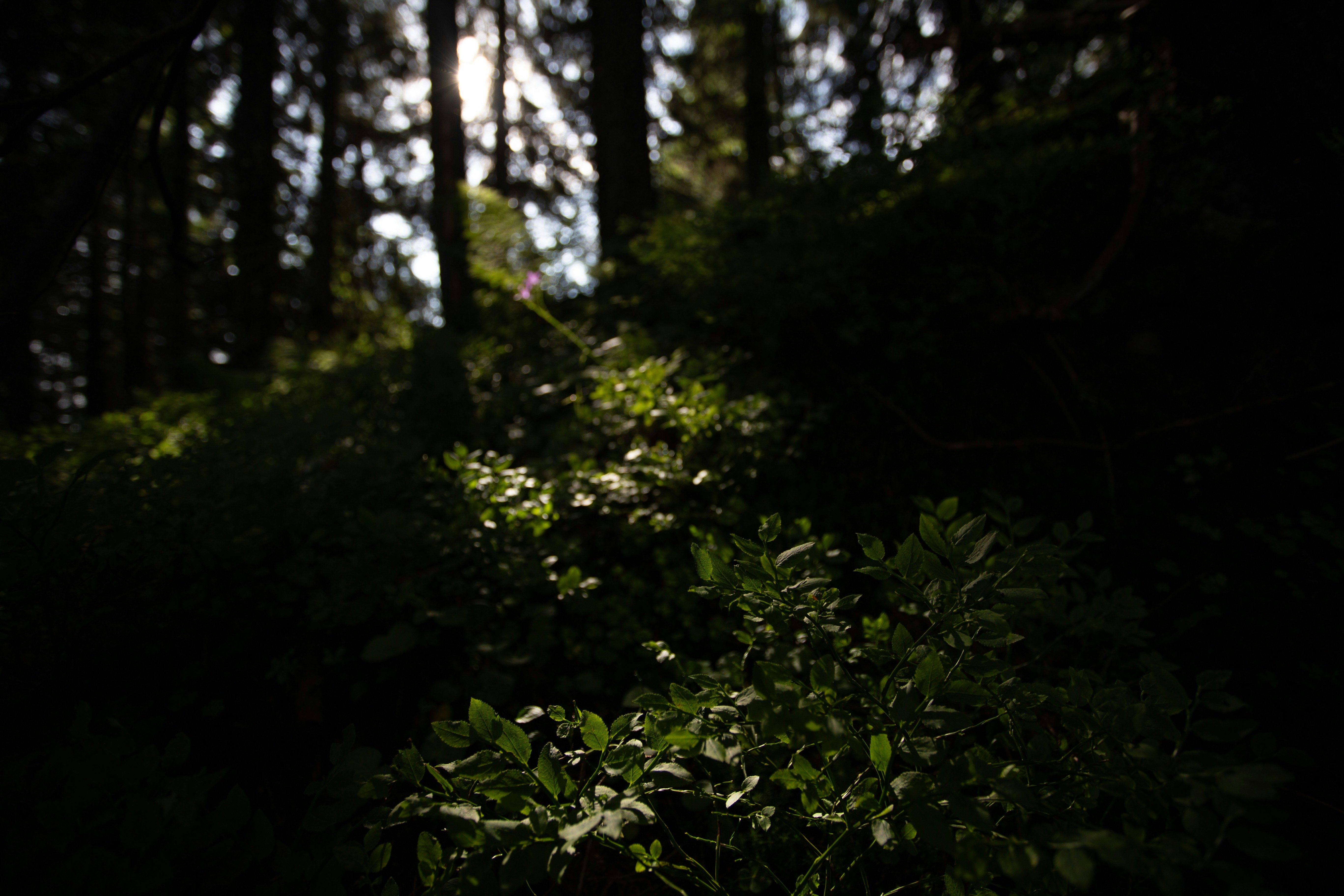 Photo by cameraobscura2000