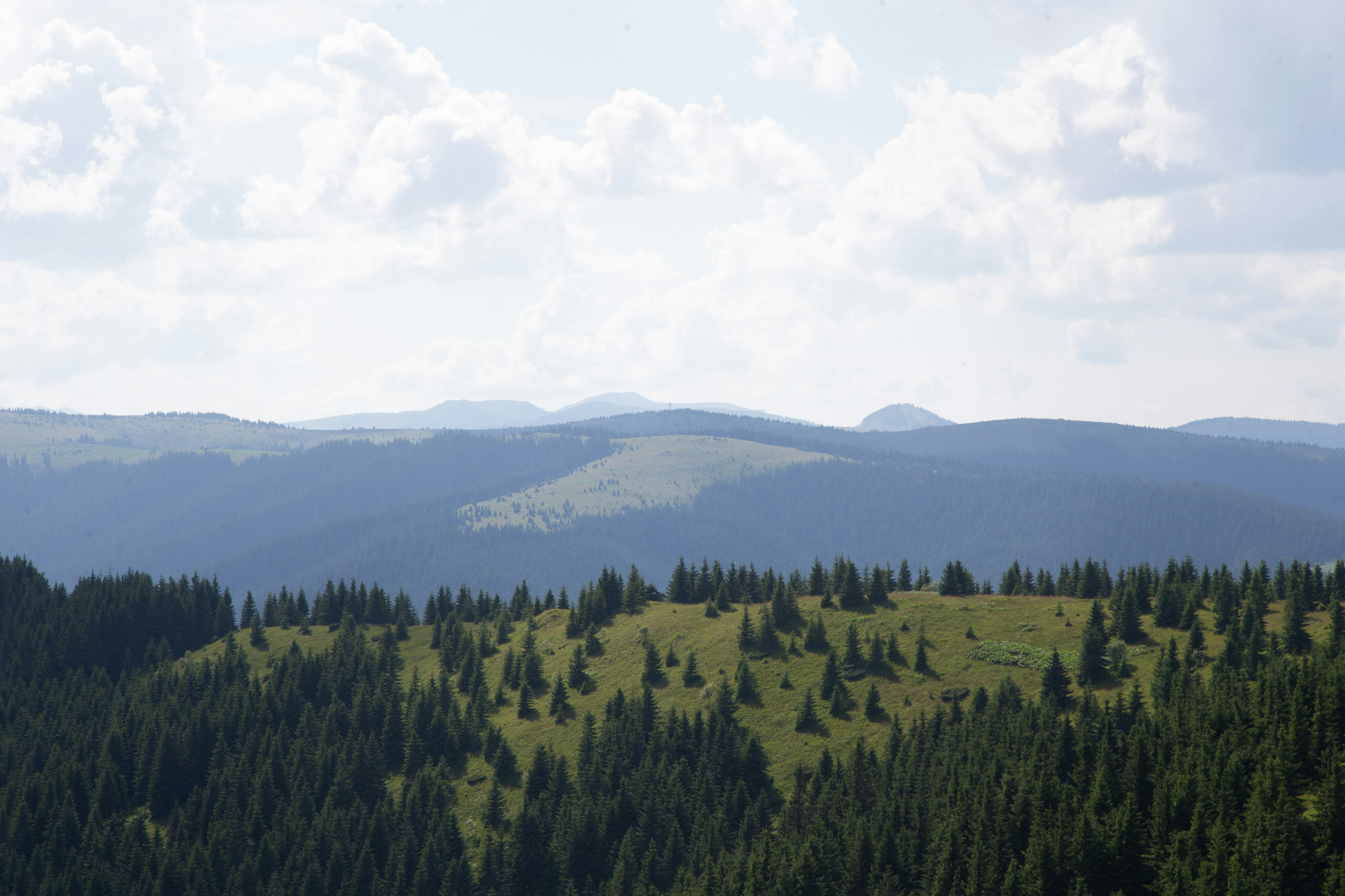 Photo by cameraobscura2000