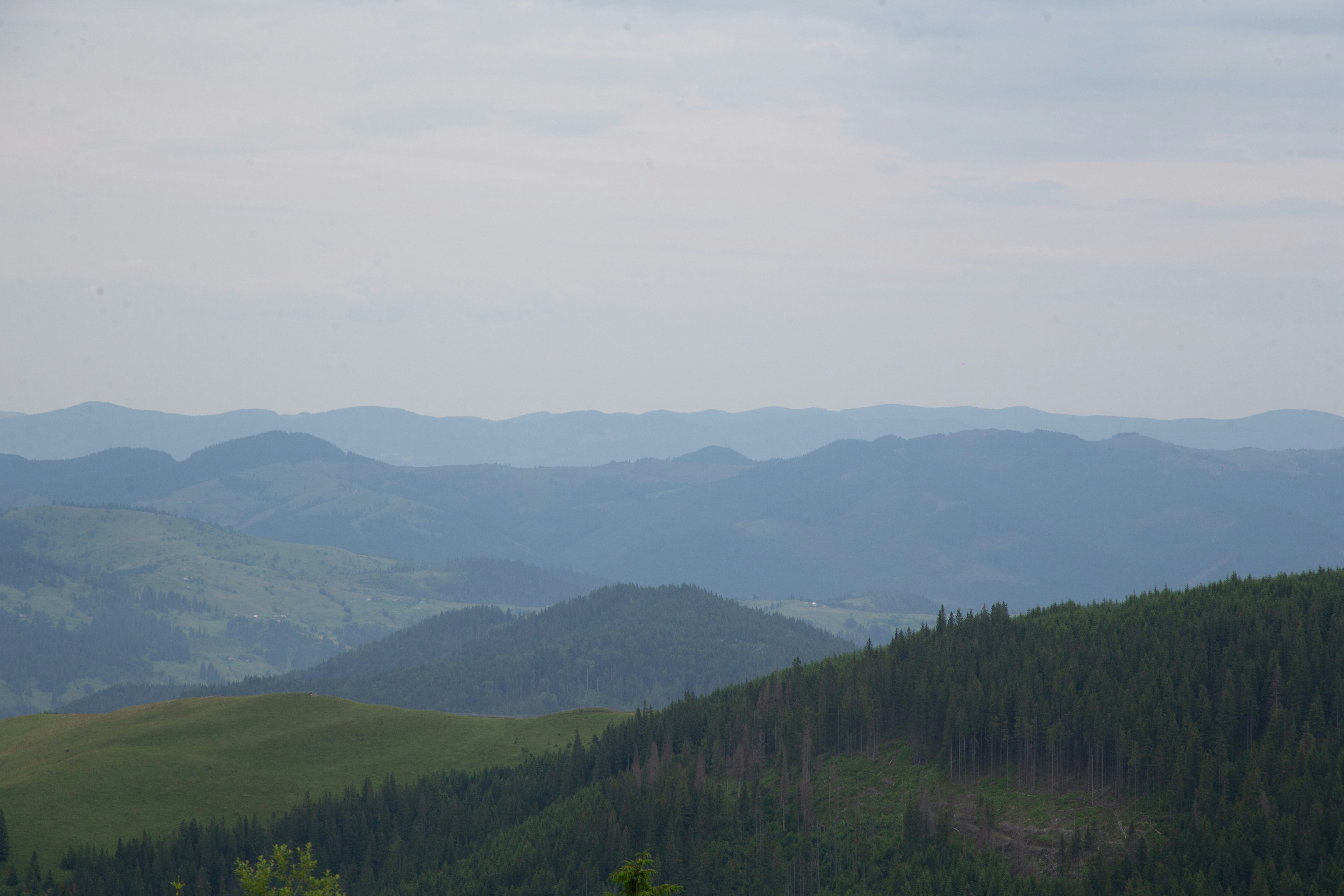 Photo by cameraobscura2000