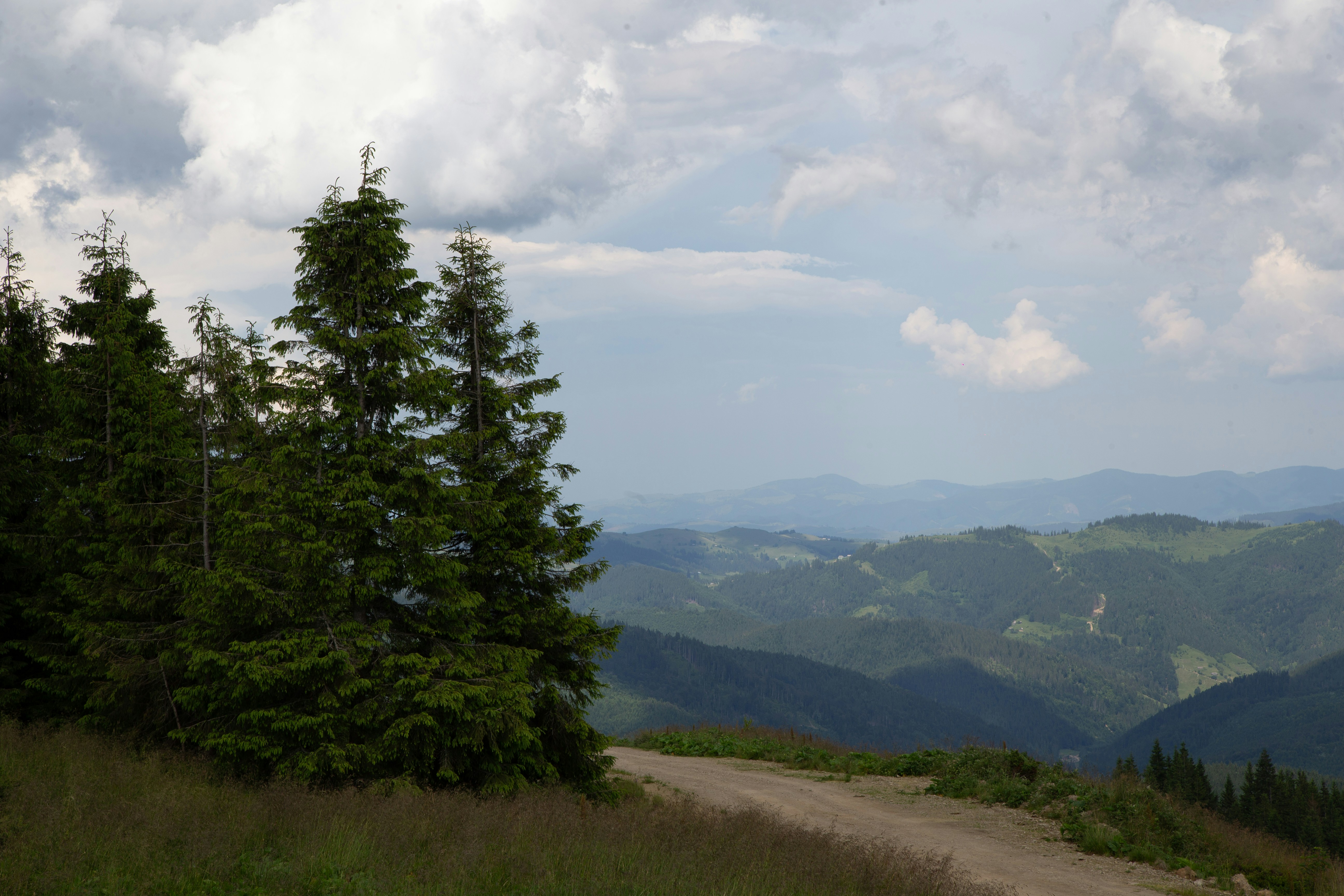 Photo by cameraobscura2000