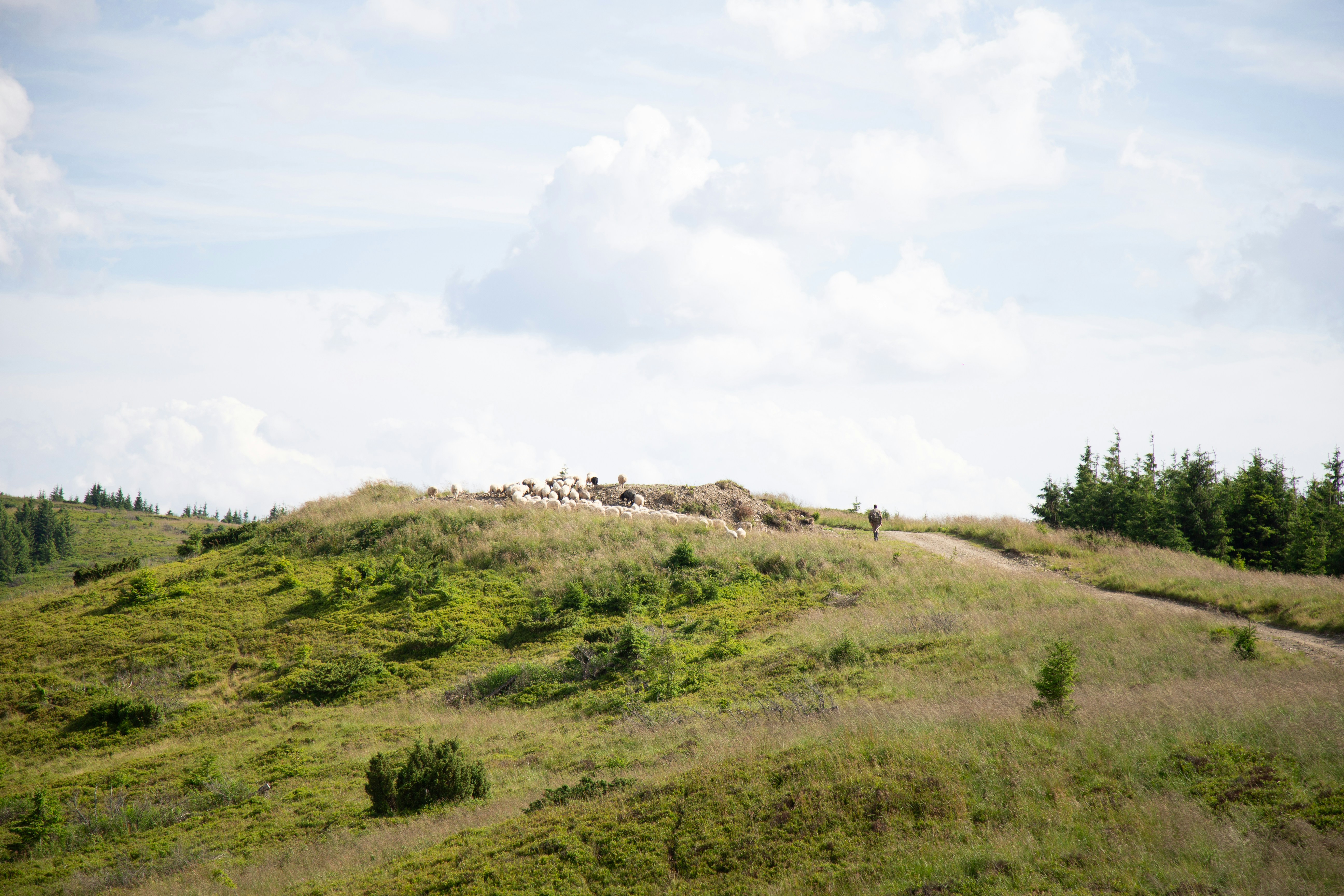 Photo by cameraobscura2000