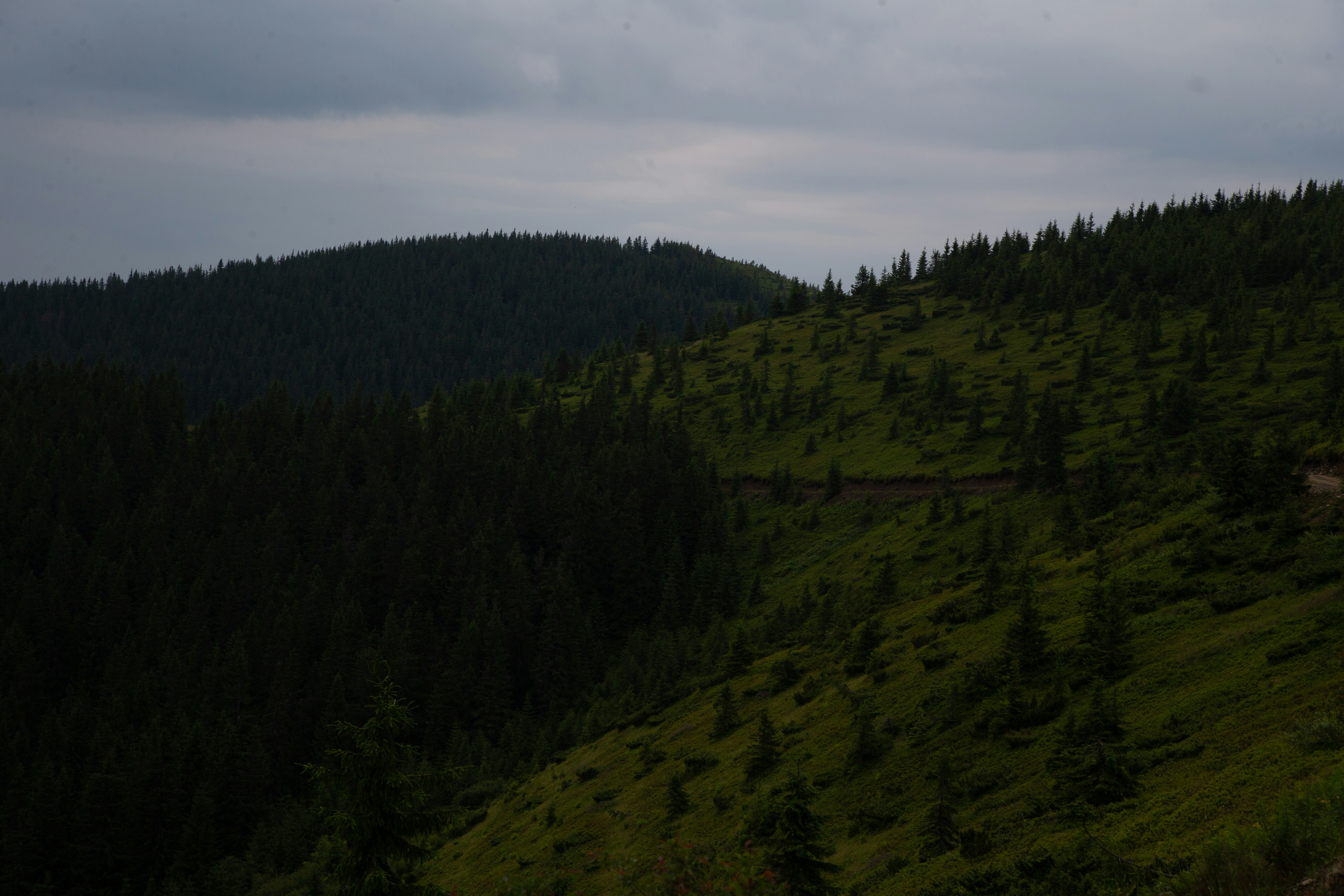 Photo by cameraobscura2000