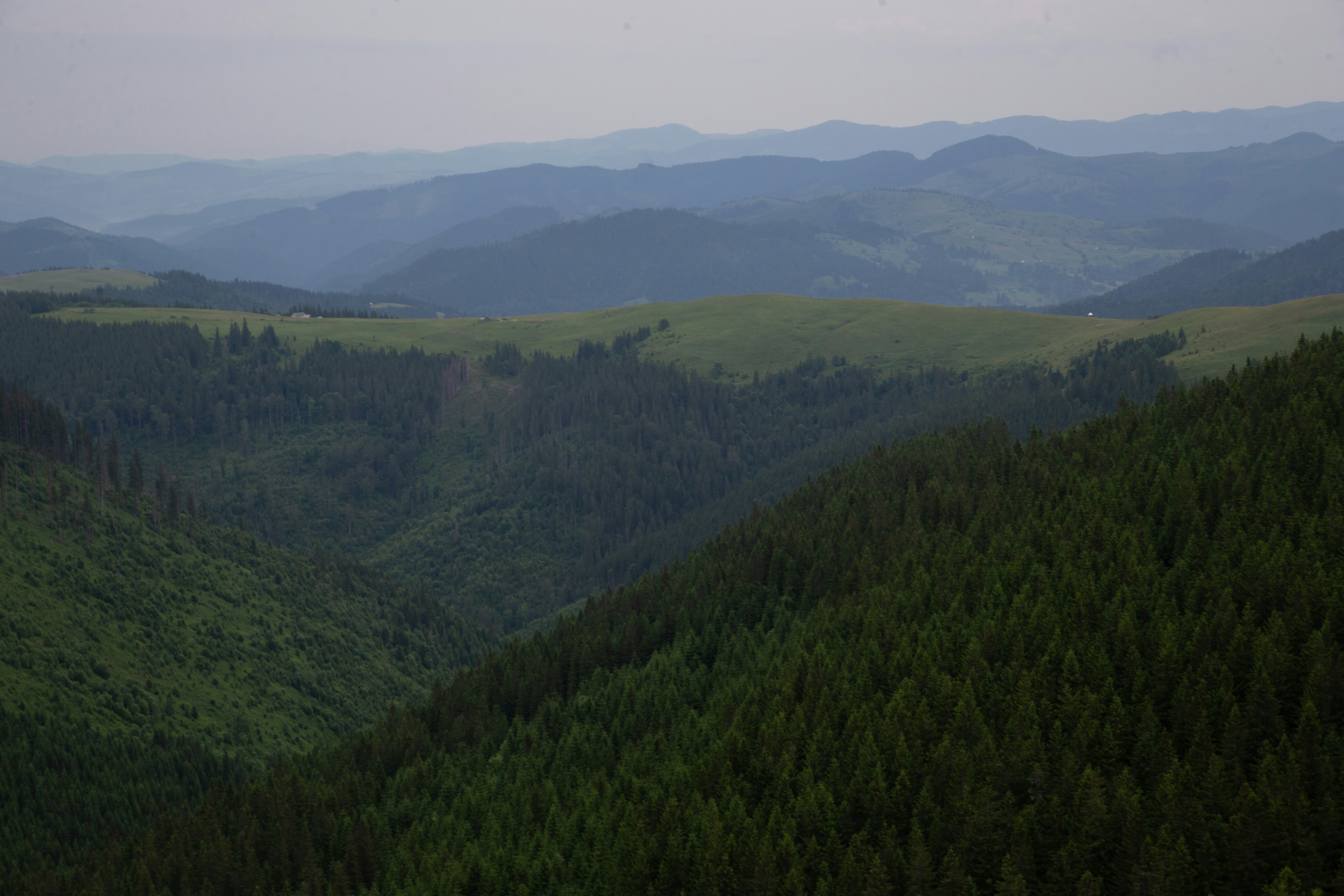 Photo by cameraobscura2000