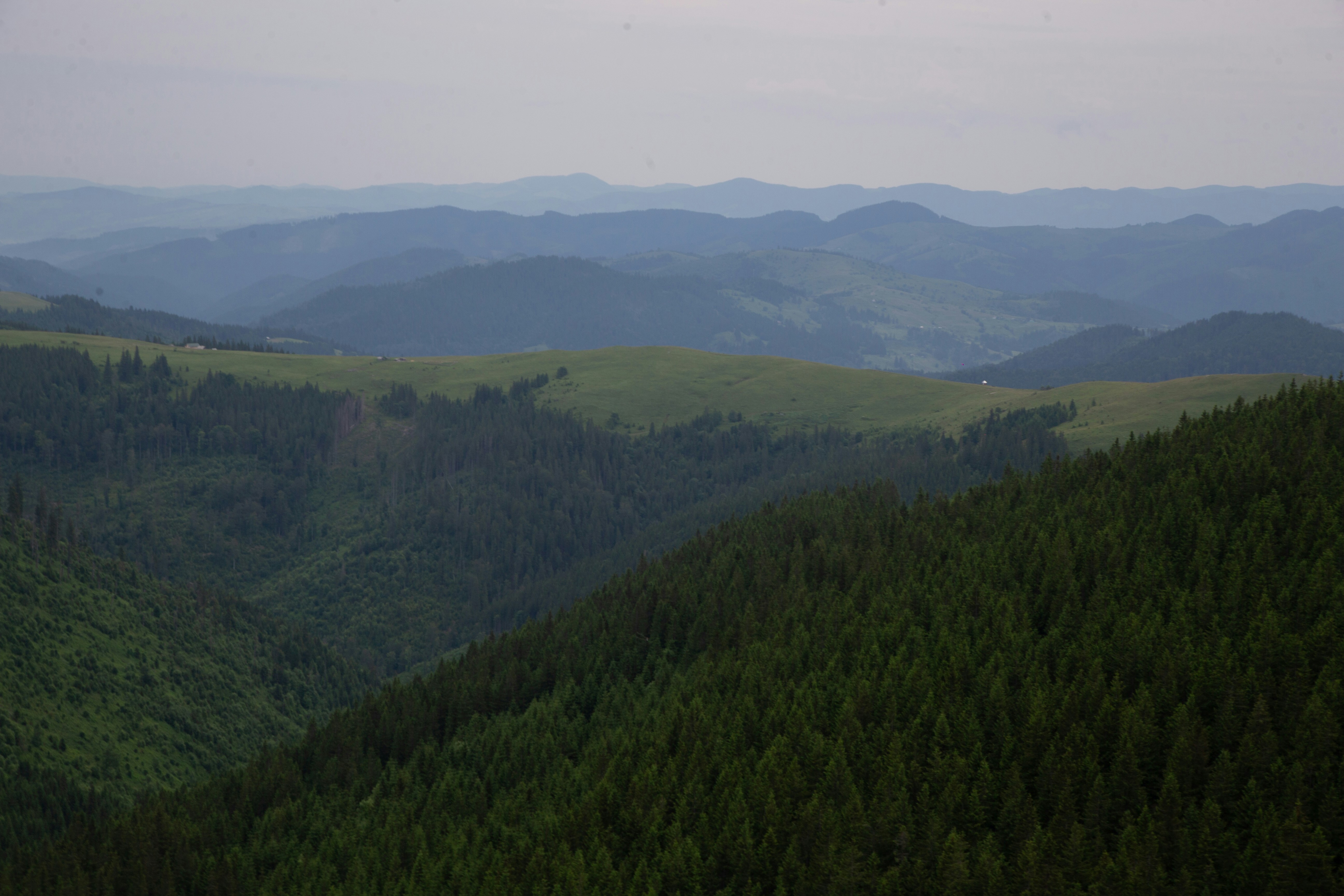 Photo by cameraobscura2000