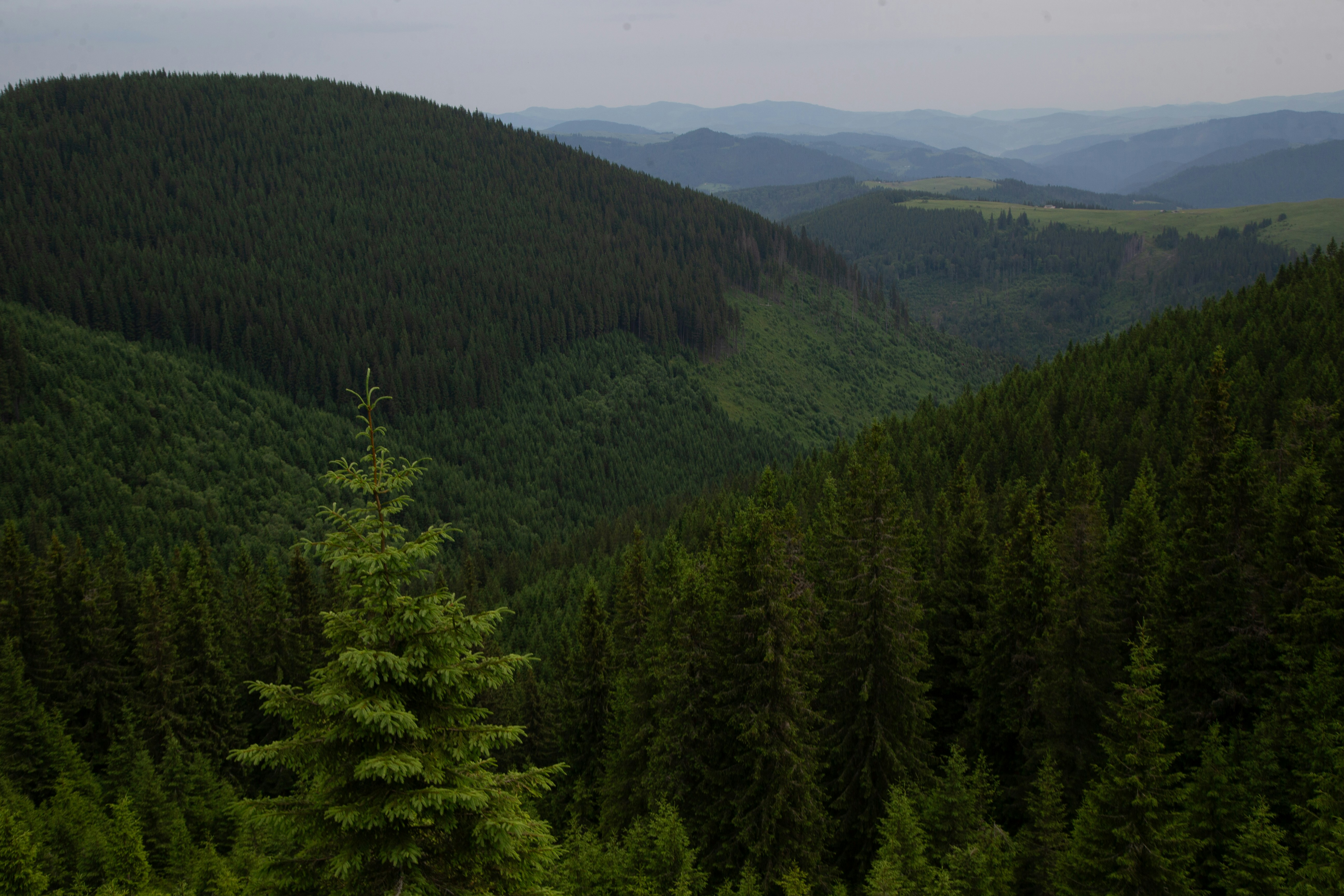 Photo by cameraobscura2000