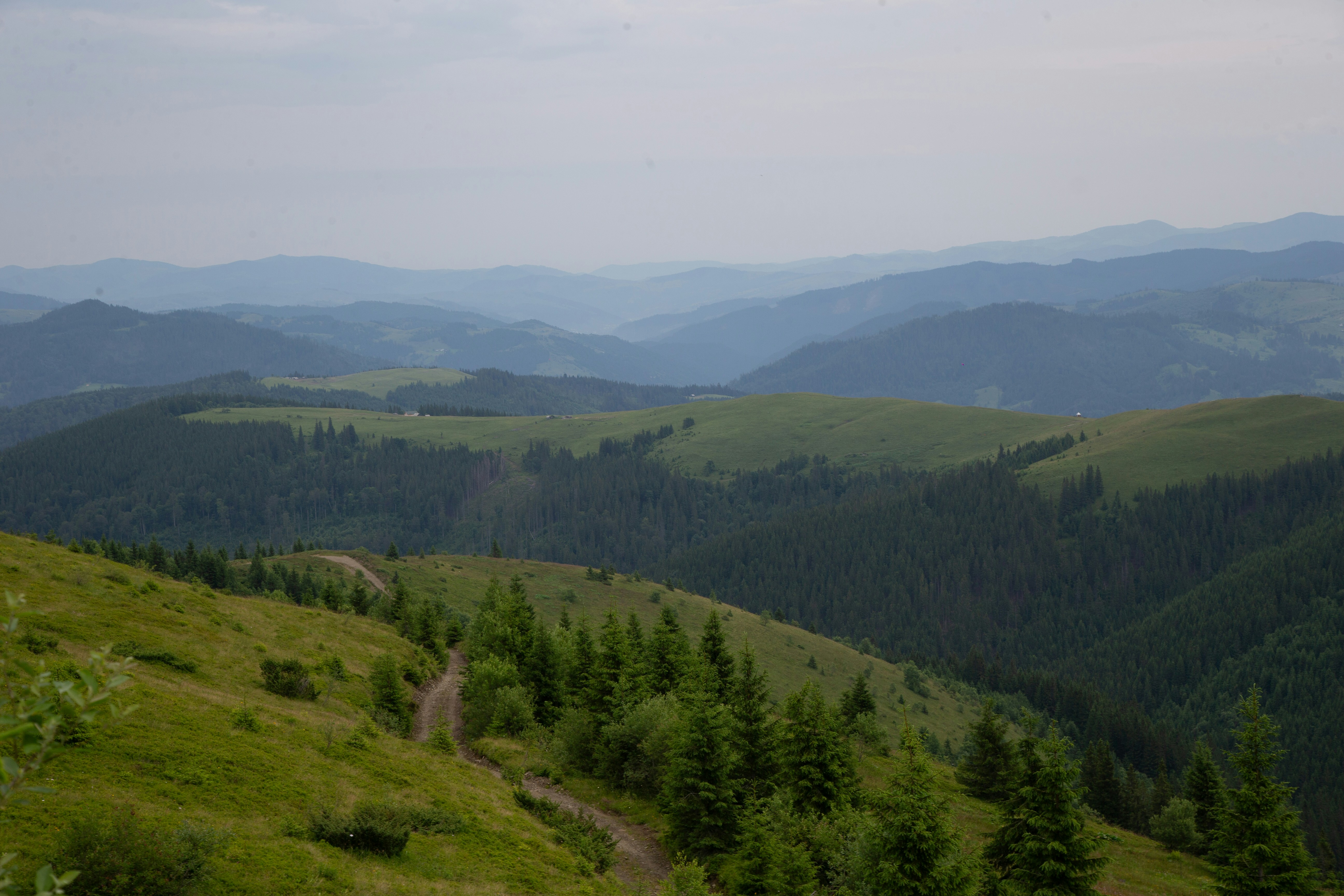 Photo by cameraobscura2000