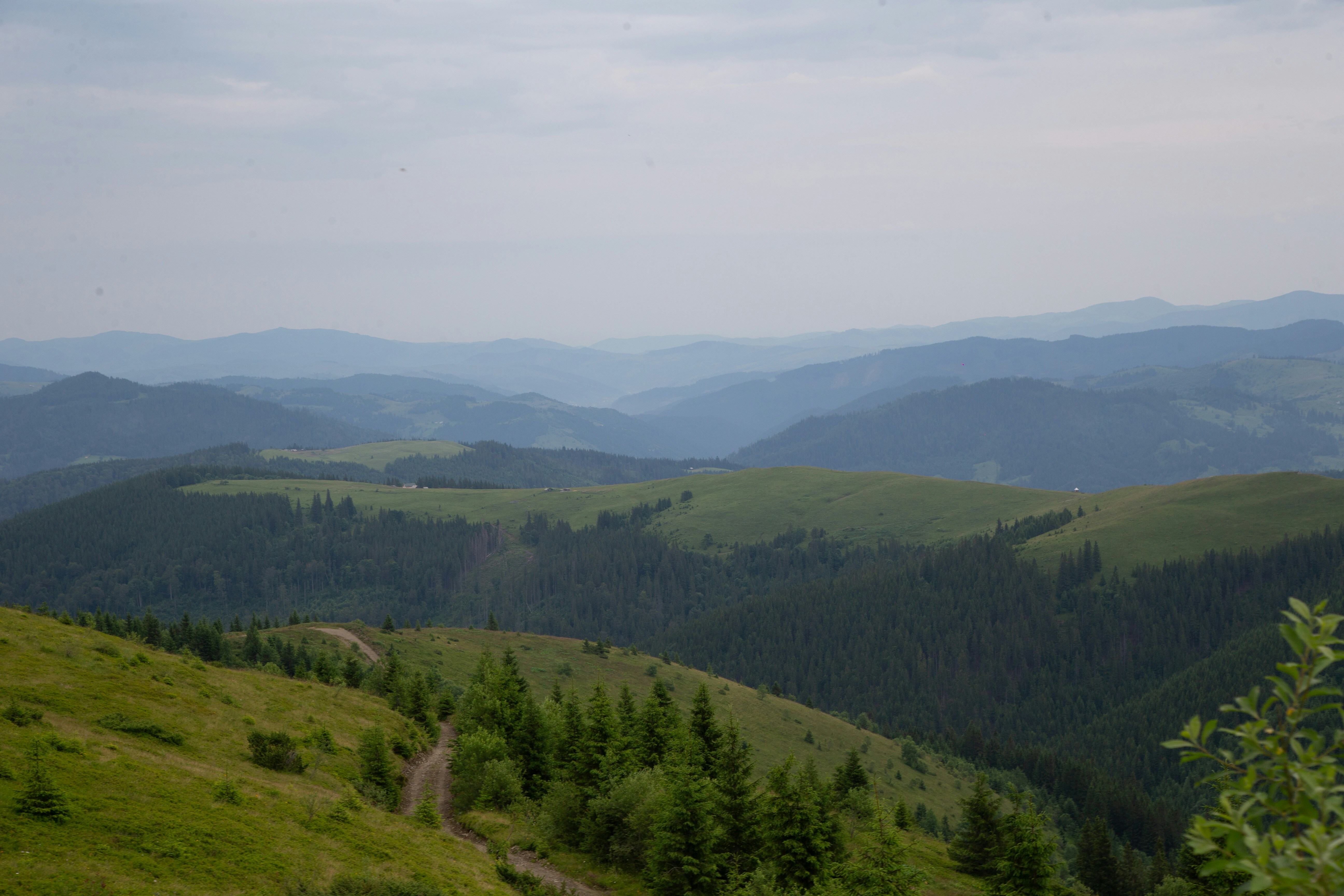 Photo by cameraobscura2000