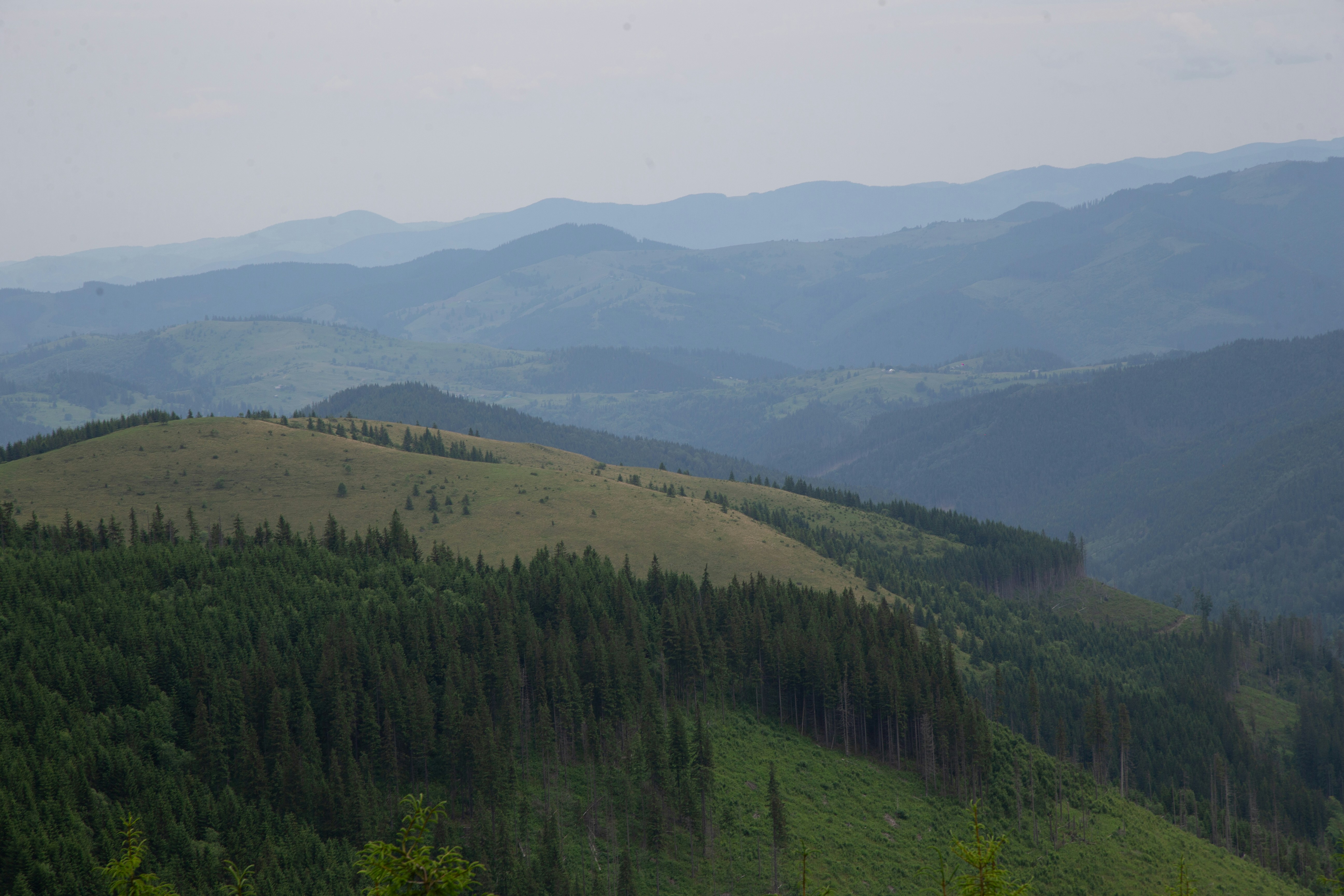 Photo by cameraobscura2000