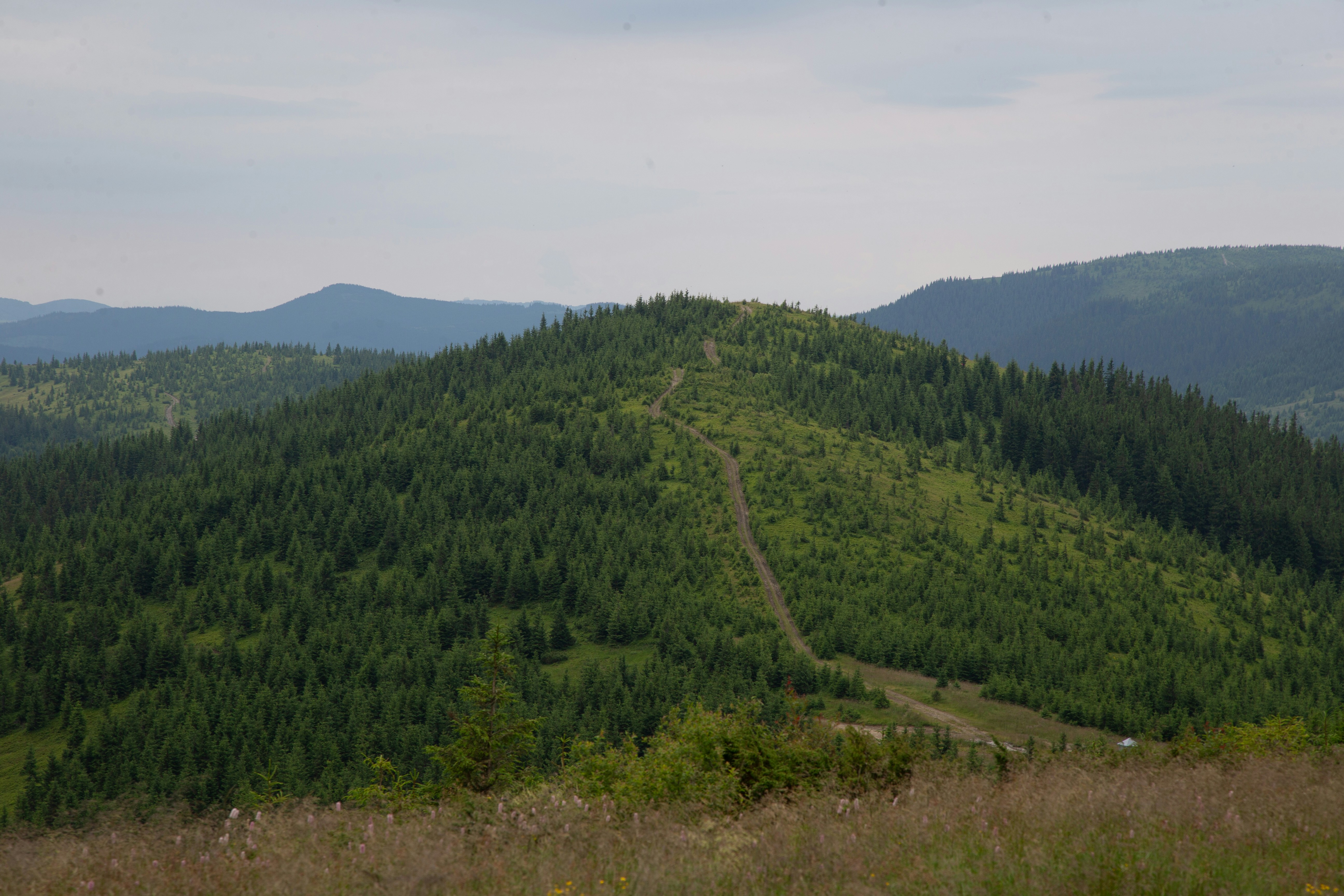 Photo by cameraobscura2000