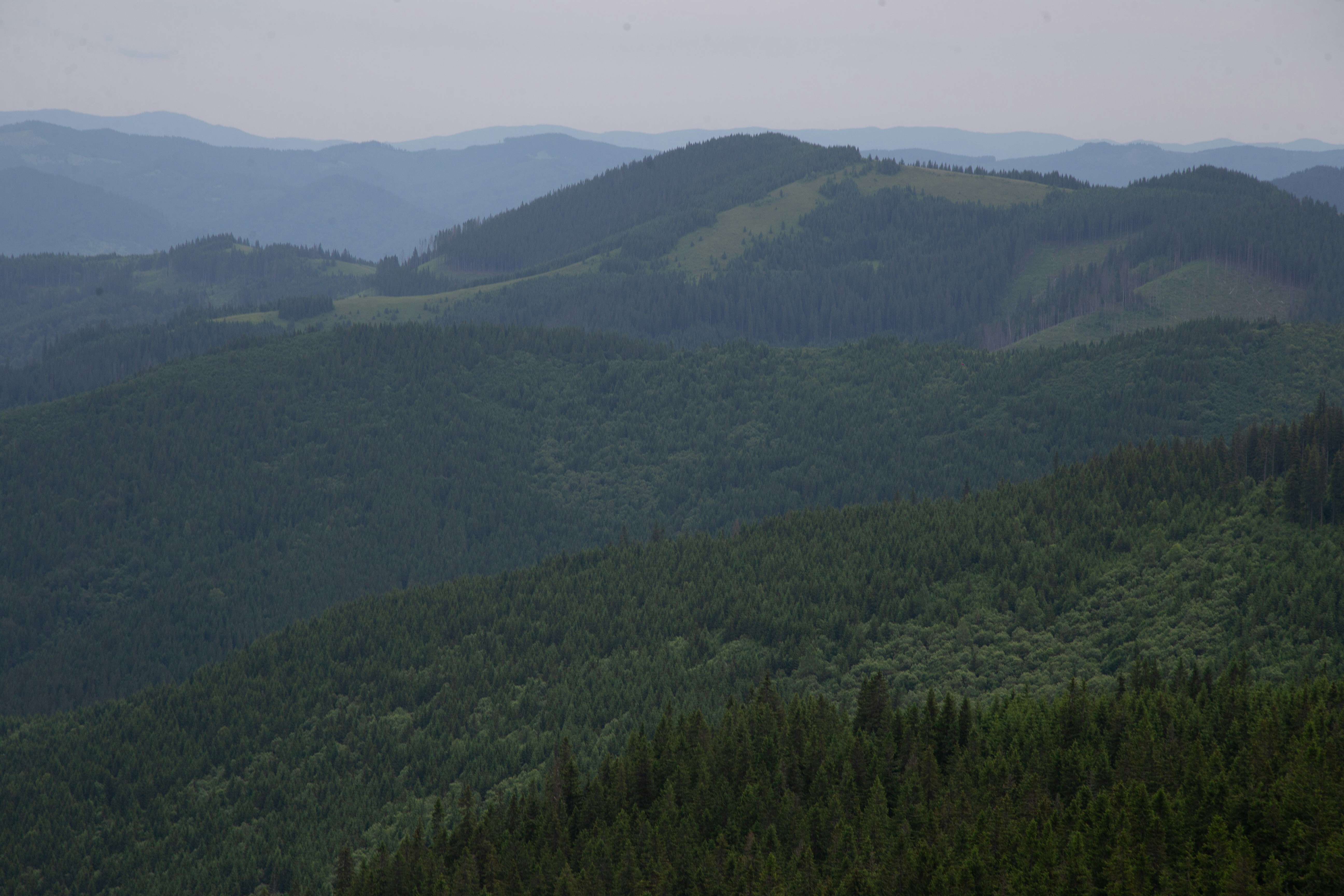 Photo by cameraobscura2000