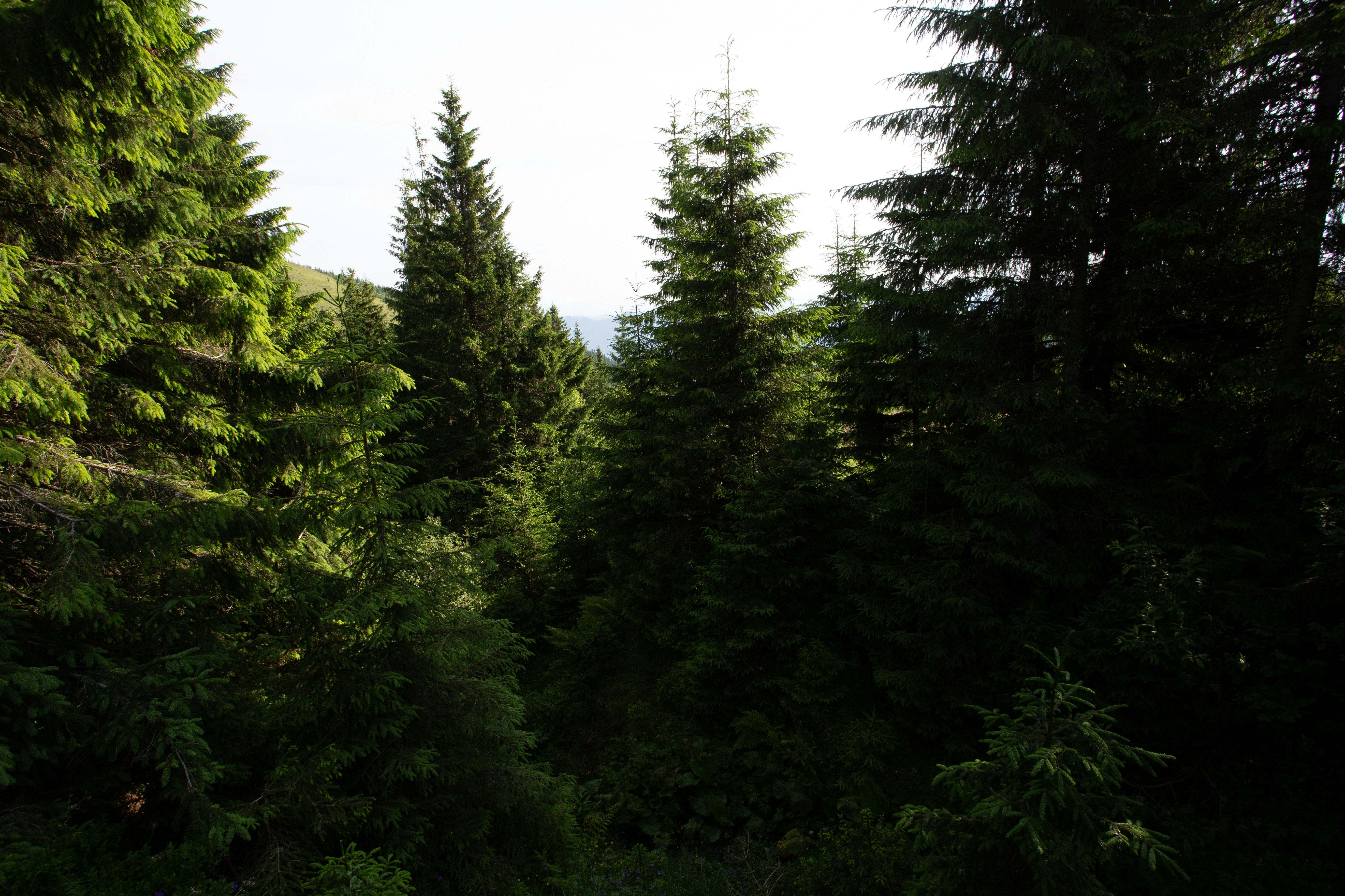 Photo by cameraobscura2000