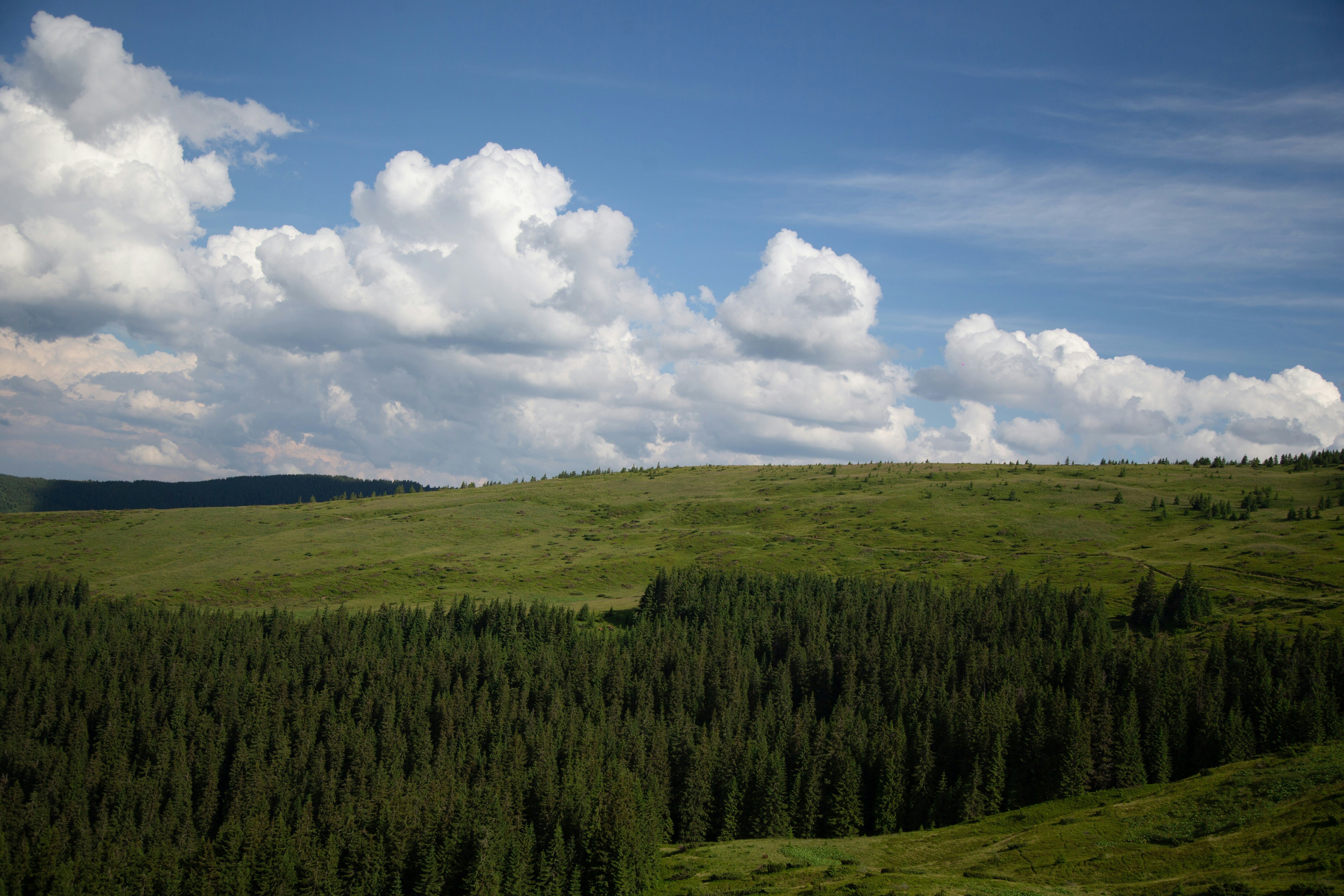 Photo by cameraobscura2000