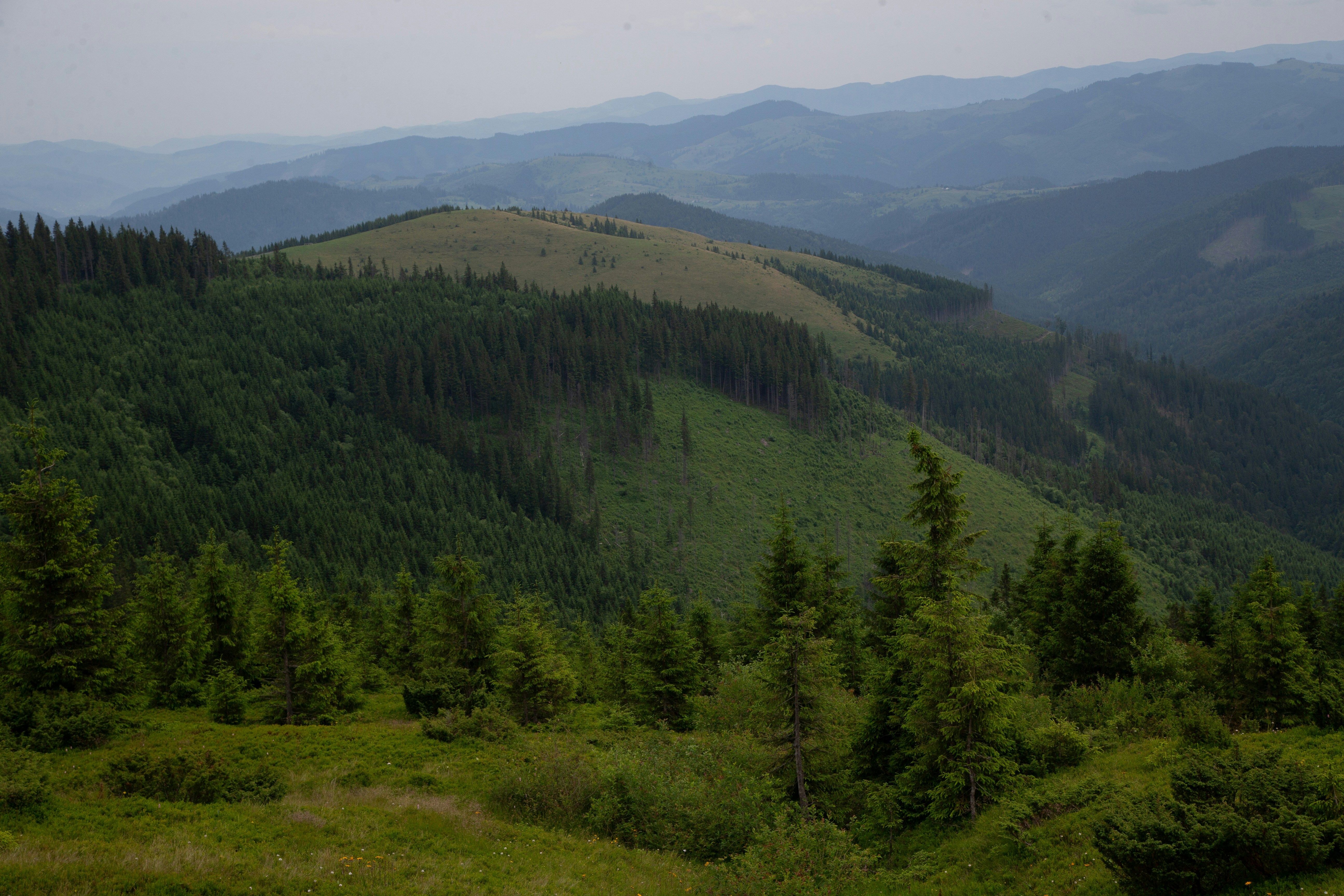 Photo by cameraobscura2000