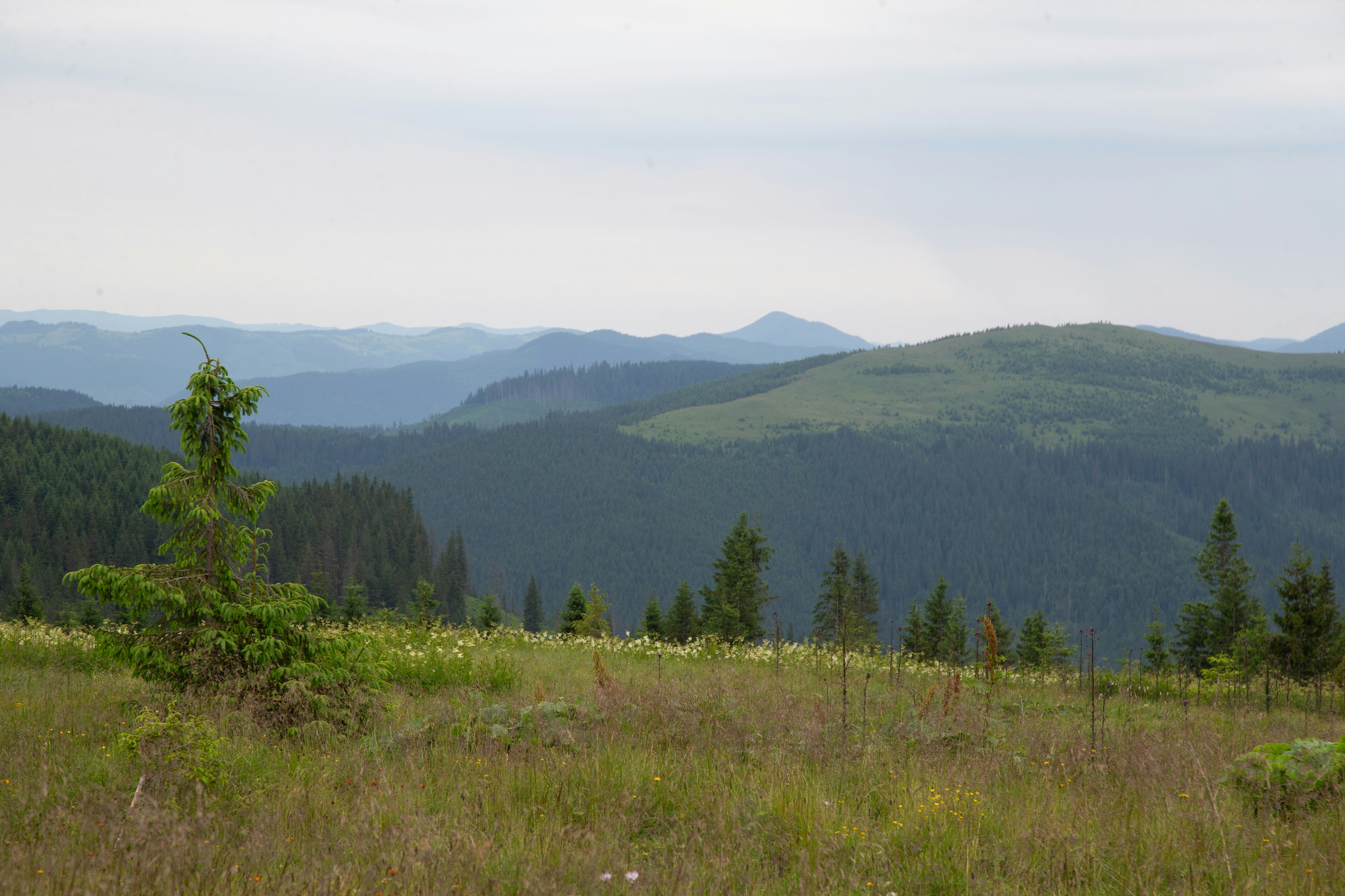 Photo by cameraobscura2000