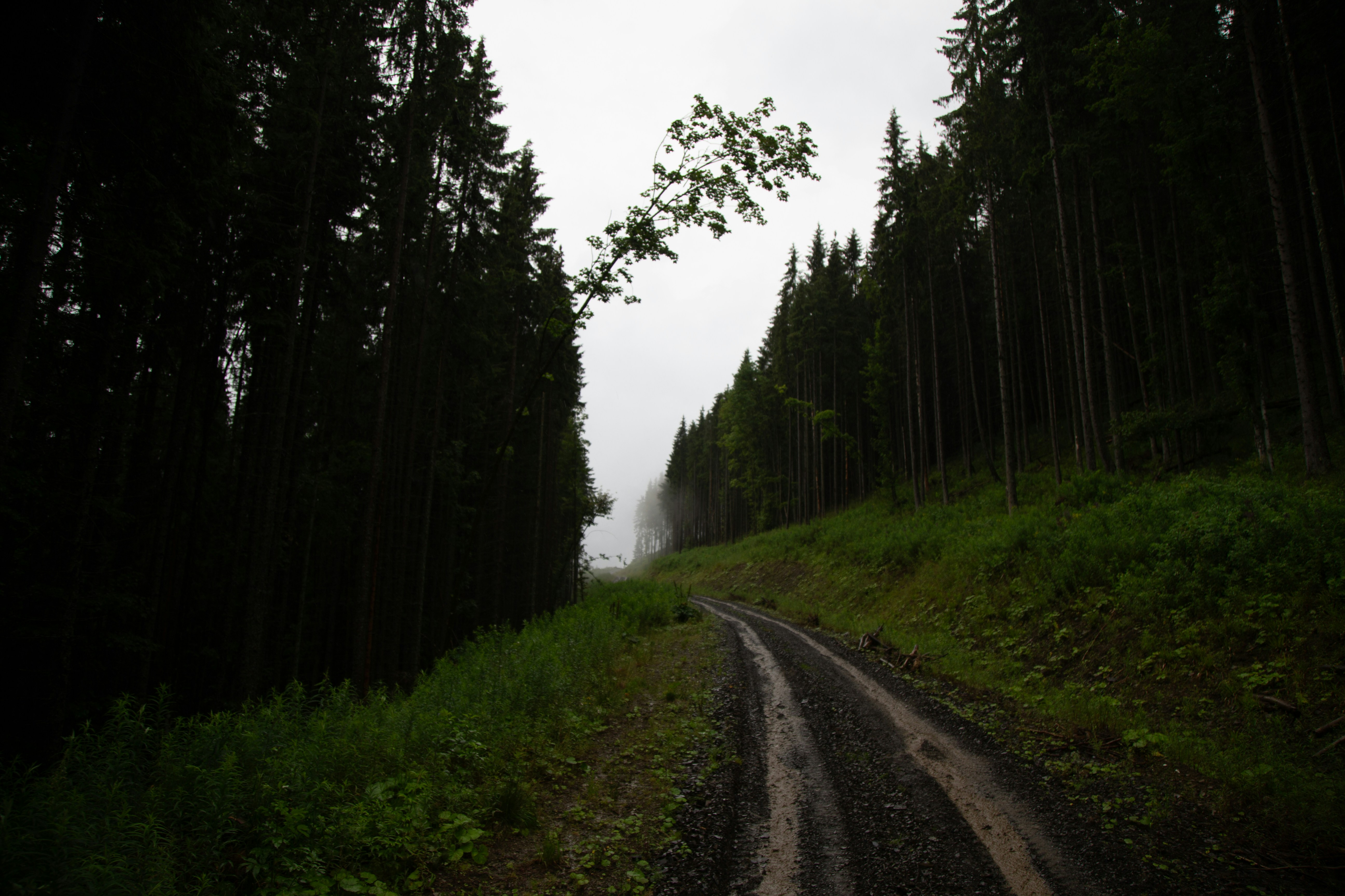 Photo by cameraobscura2000
