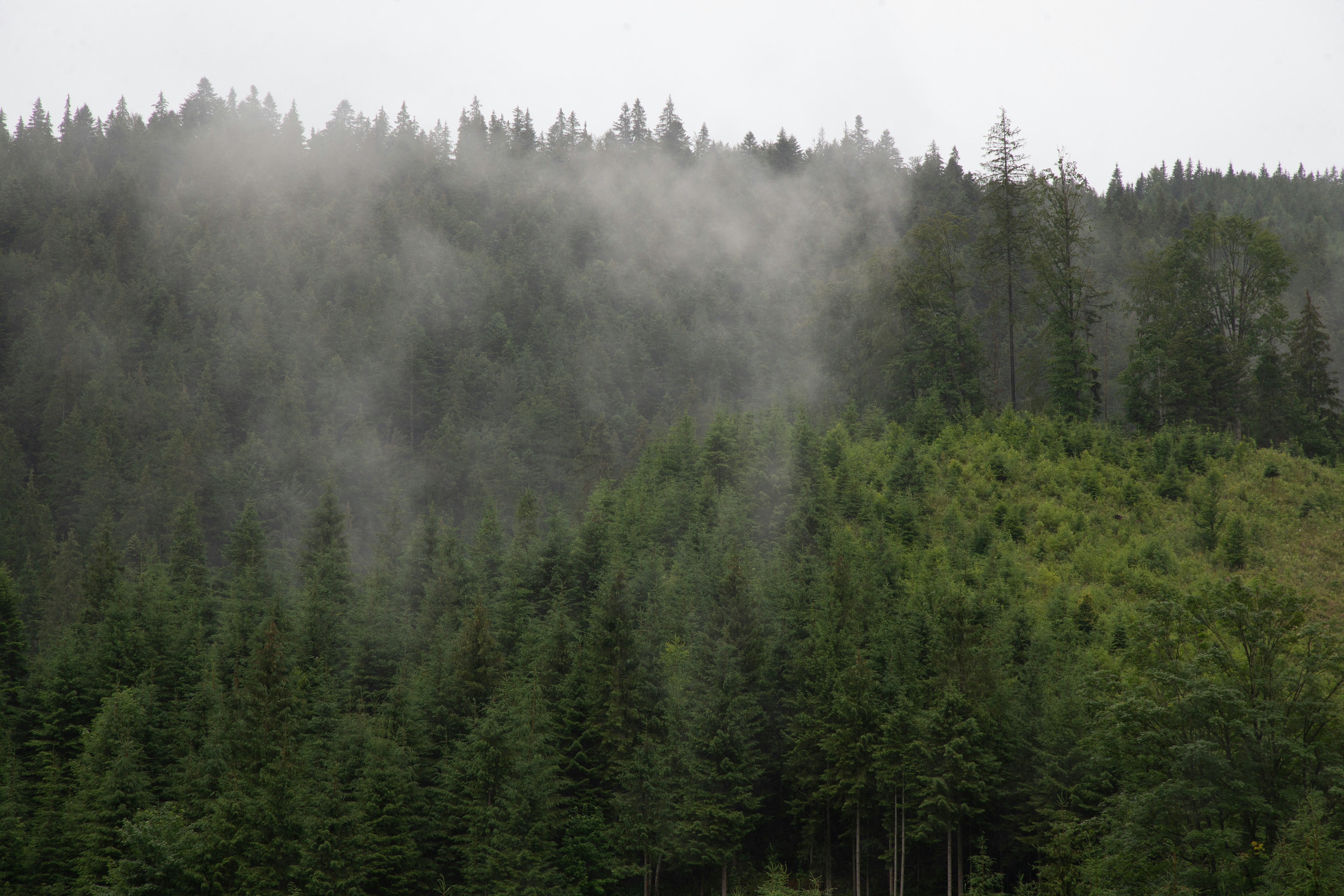 Photo by cameraobscura2000