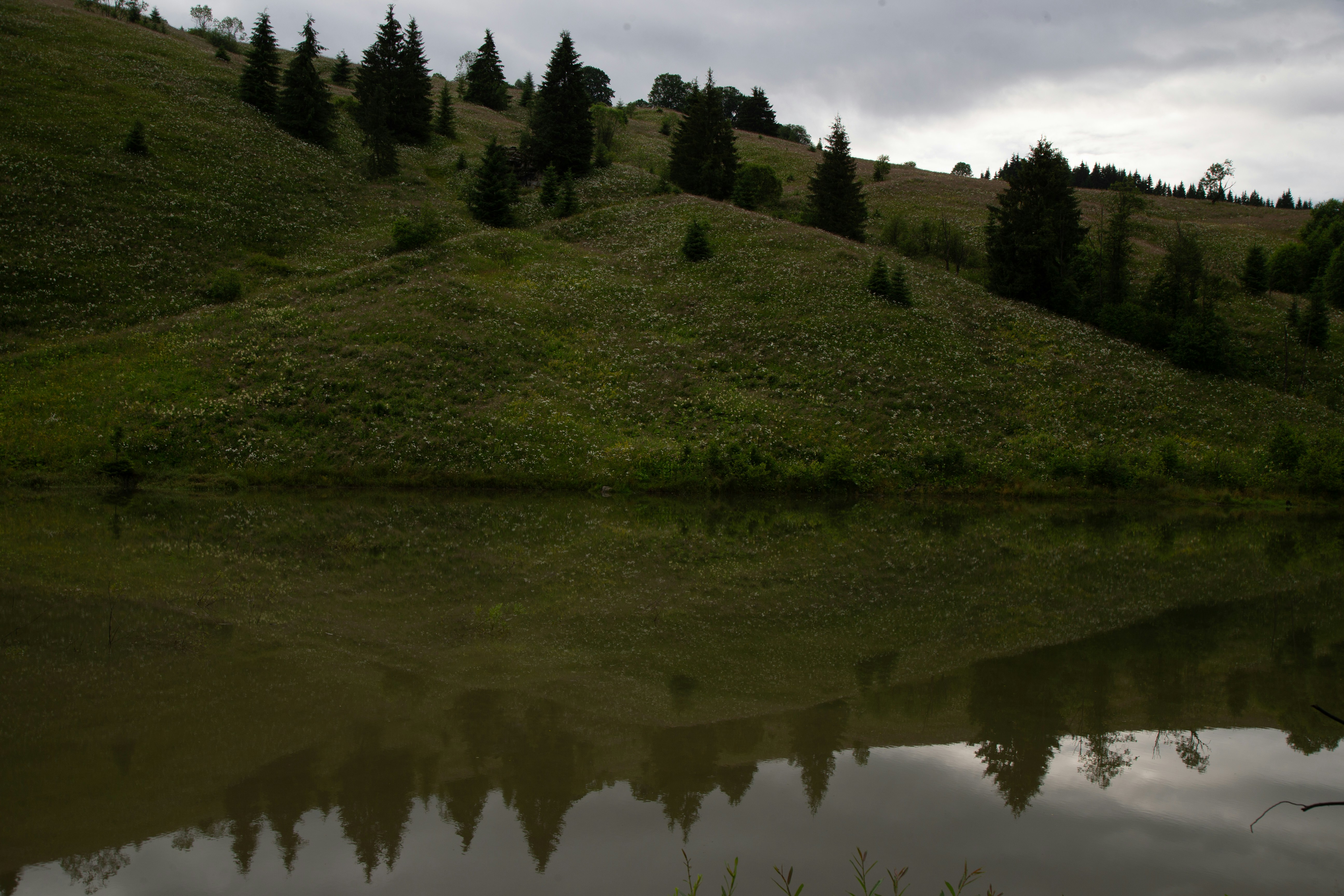 Stringham Park