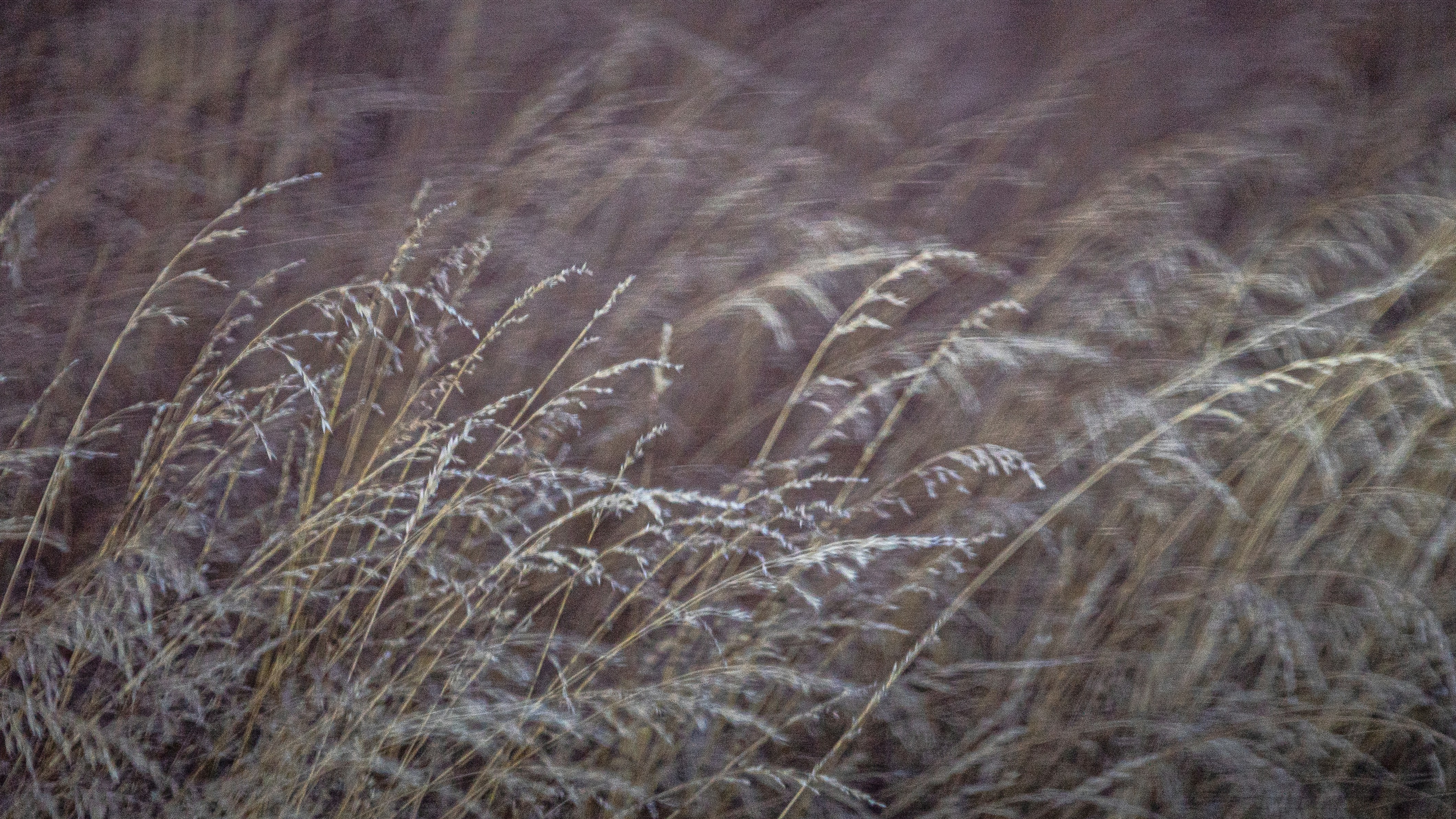 Photo by matthewmentley