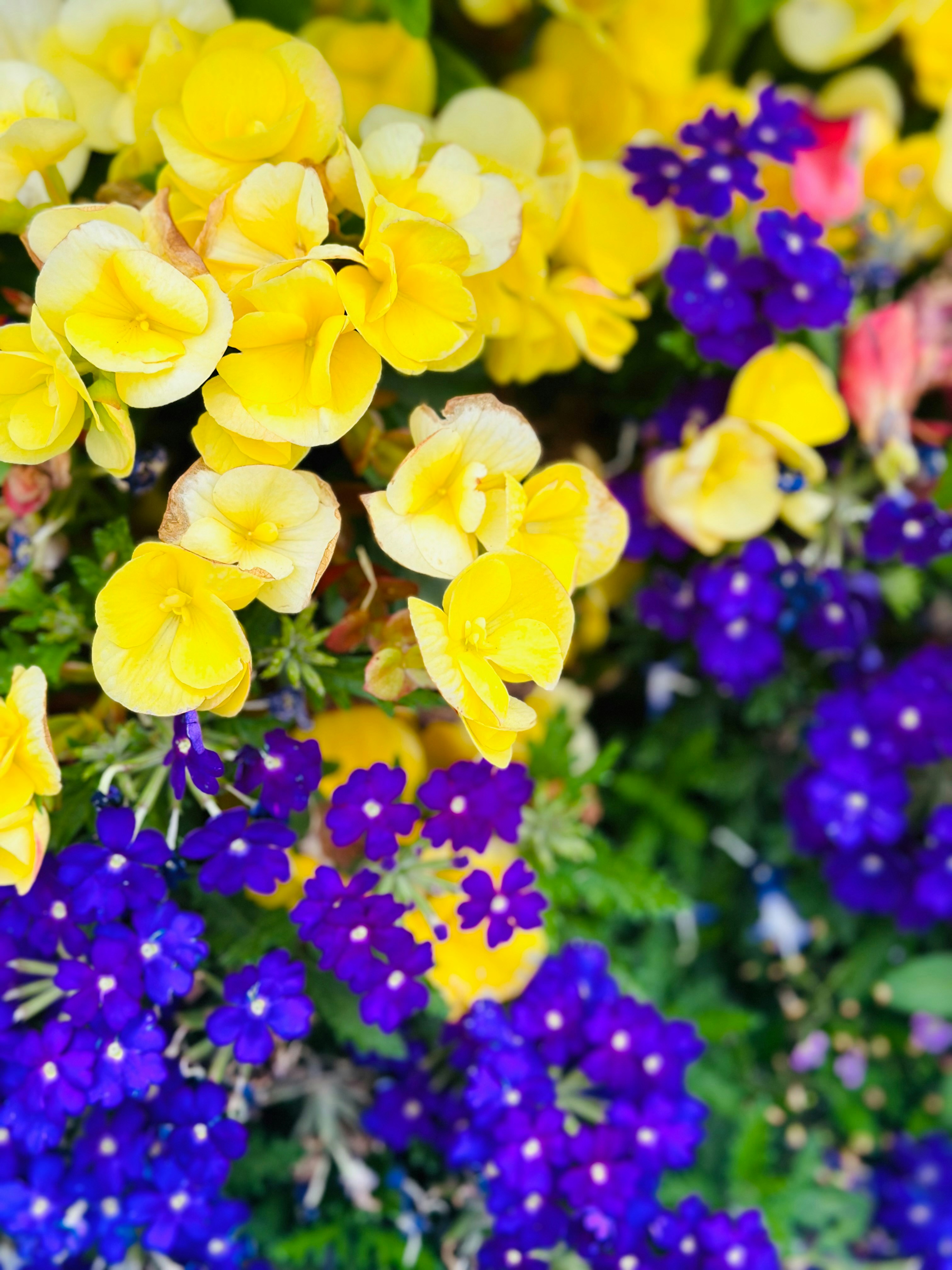 Photo by mdeepkandola