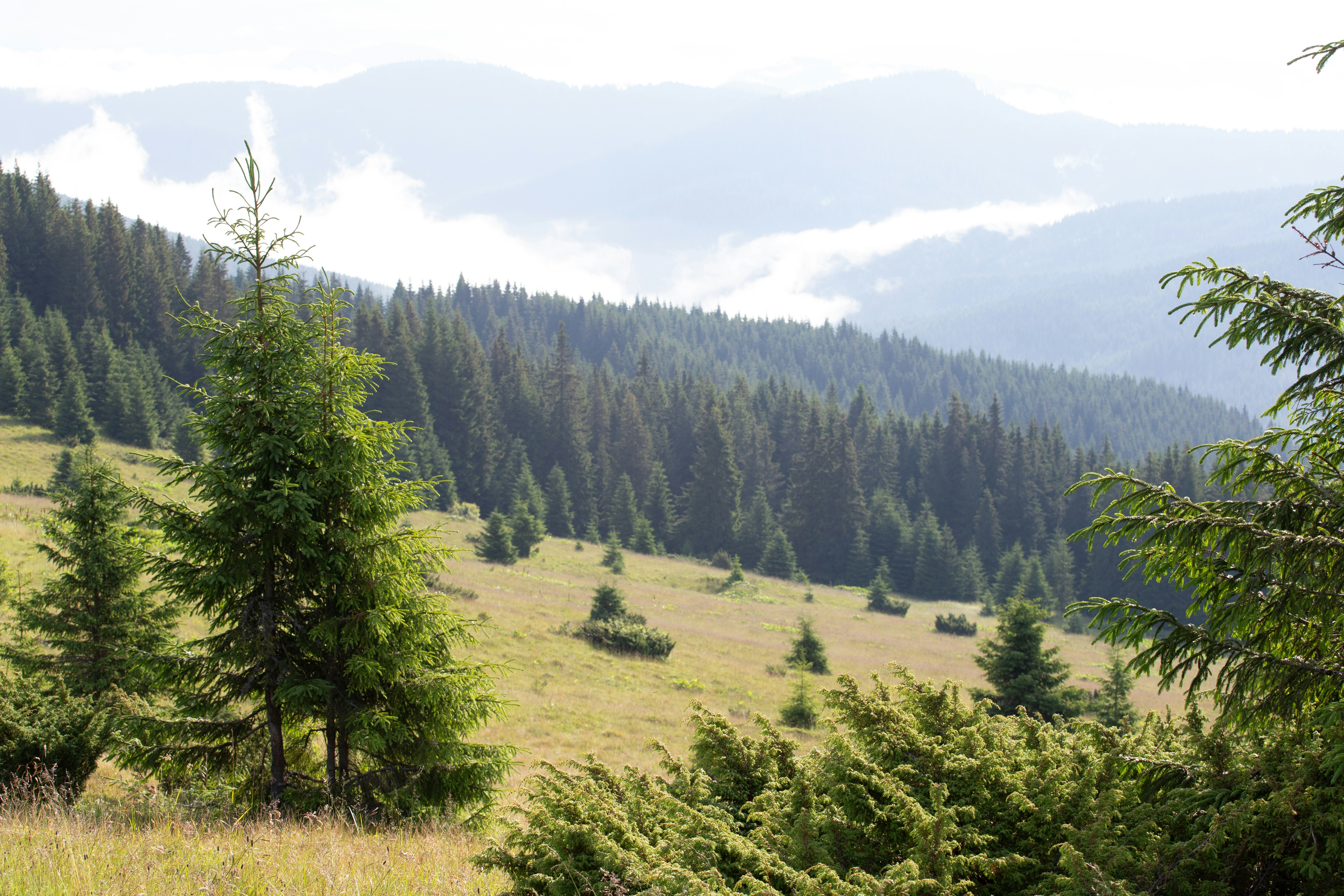 Photo by cameraobscura2000