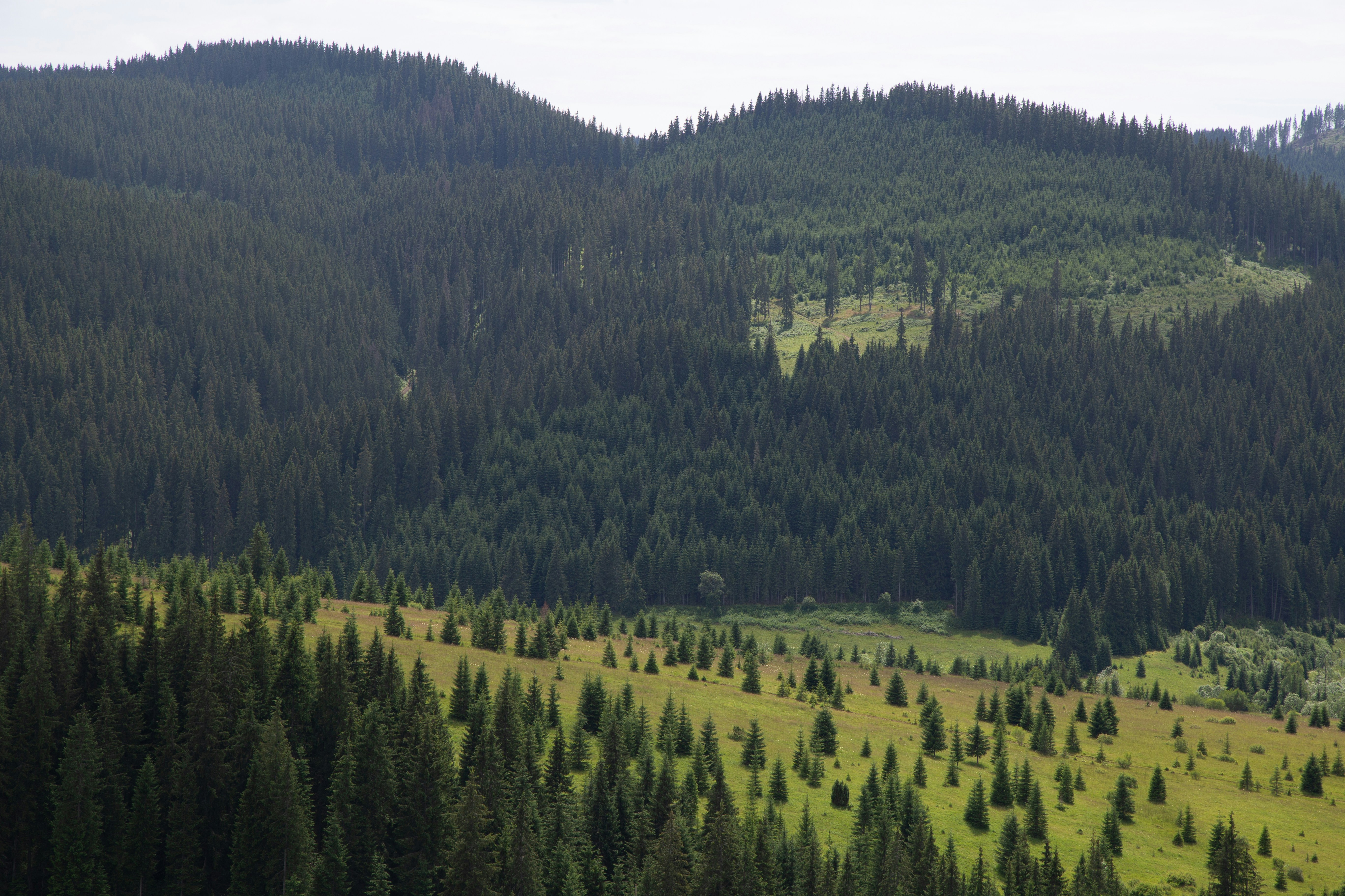 Photo by cameraobscura2000